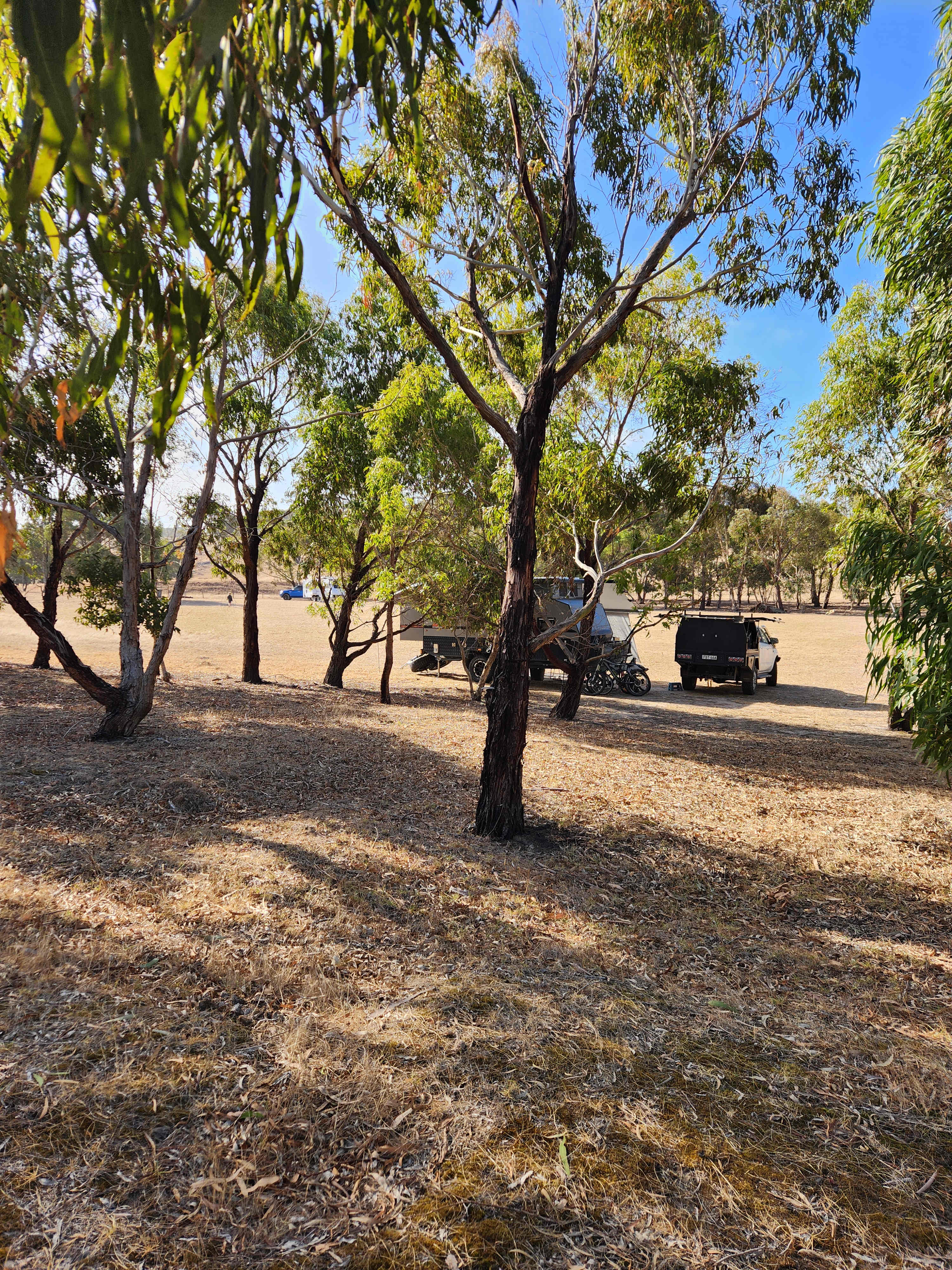 The Old Middleton Winery