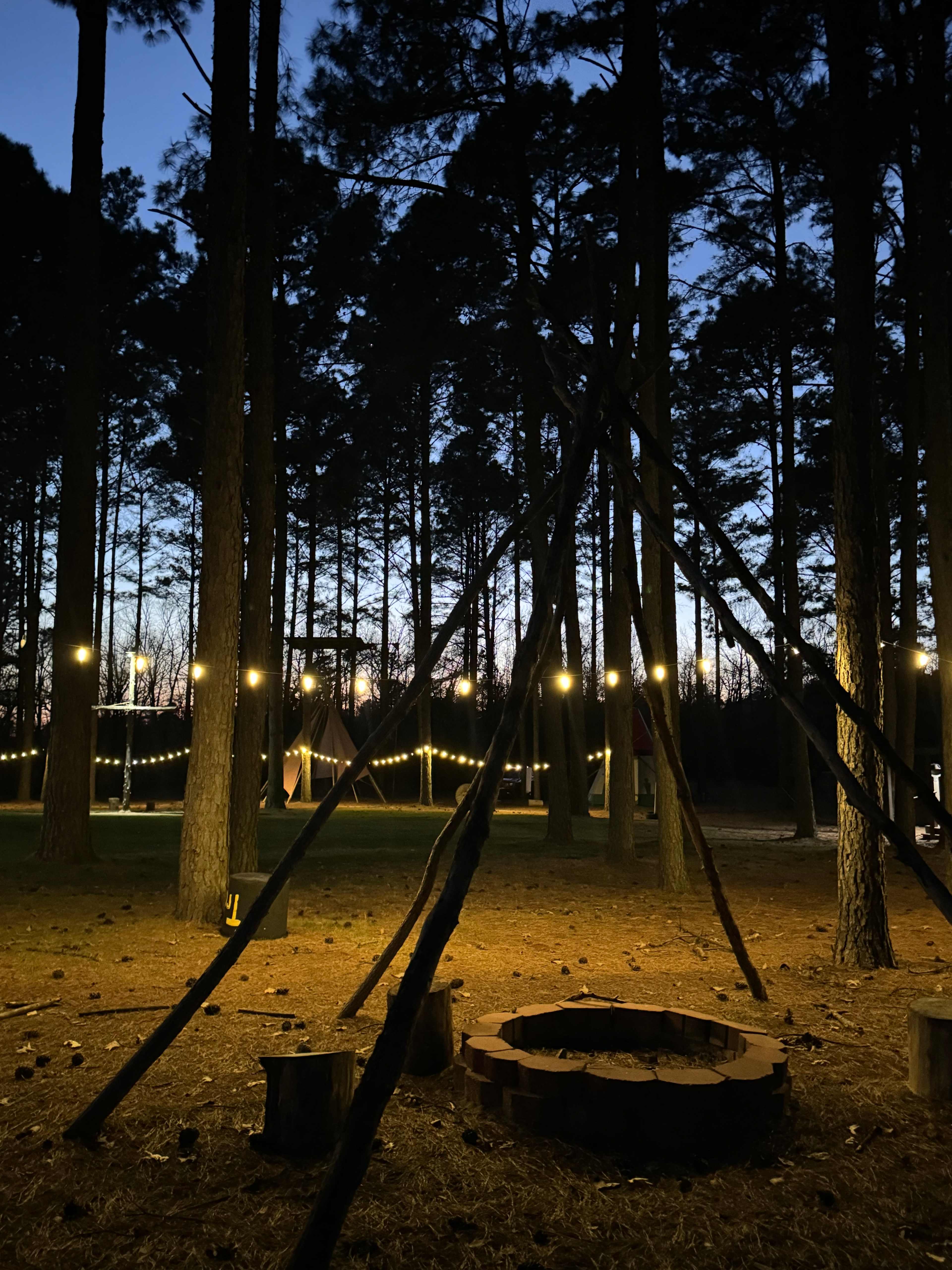 Music Springs