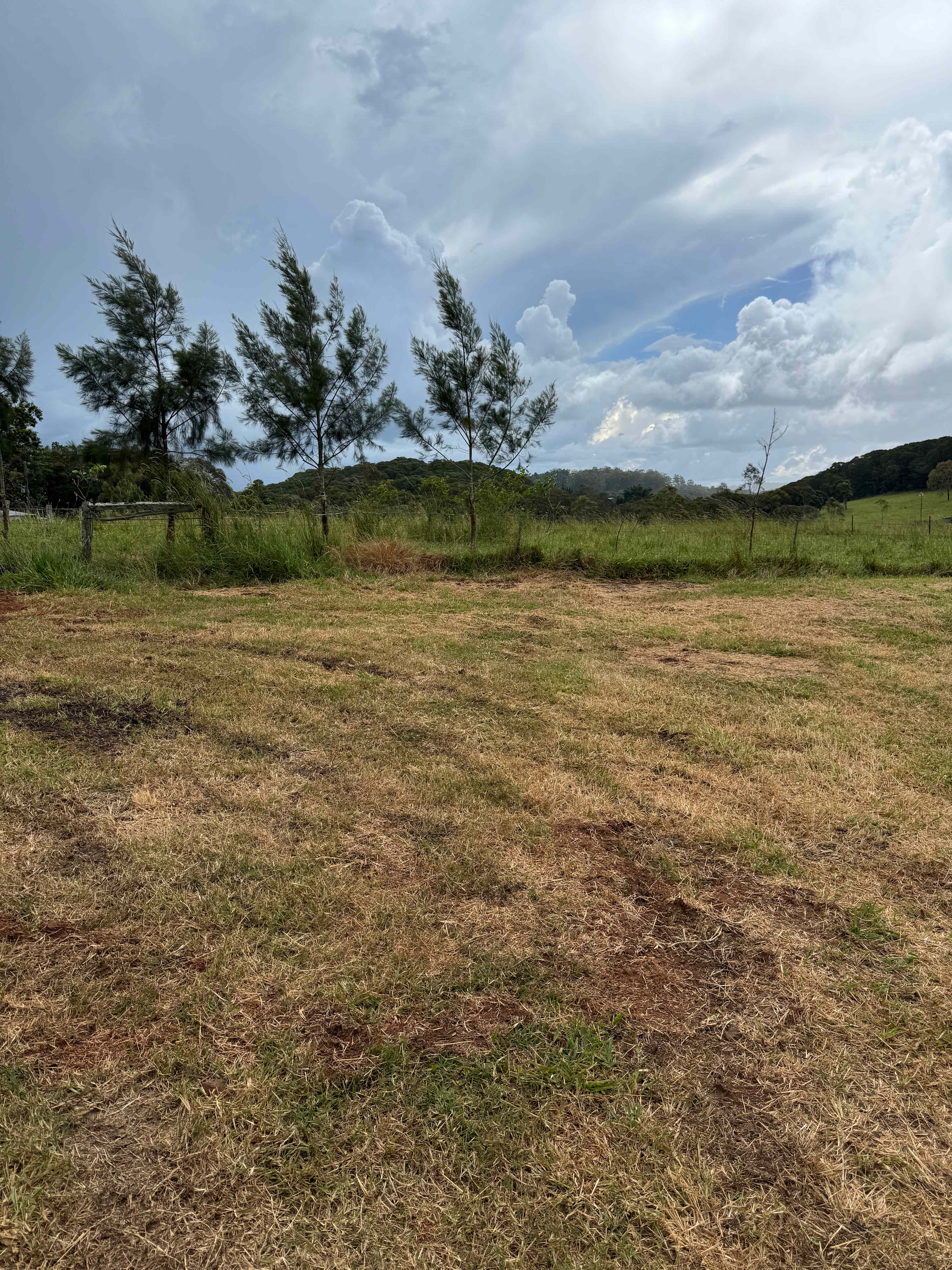 Barrine Farmstay And Camping