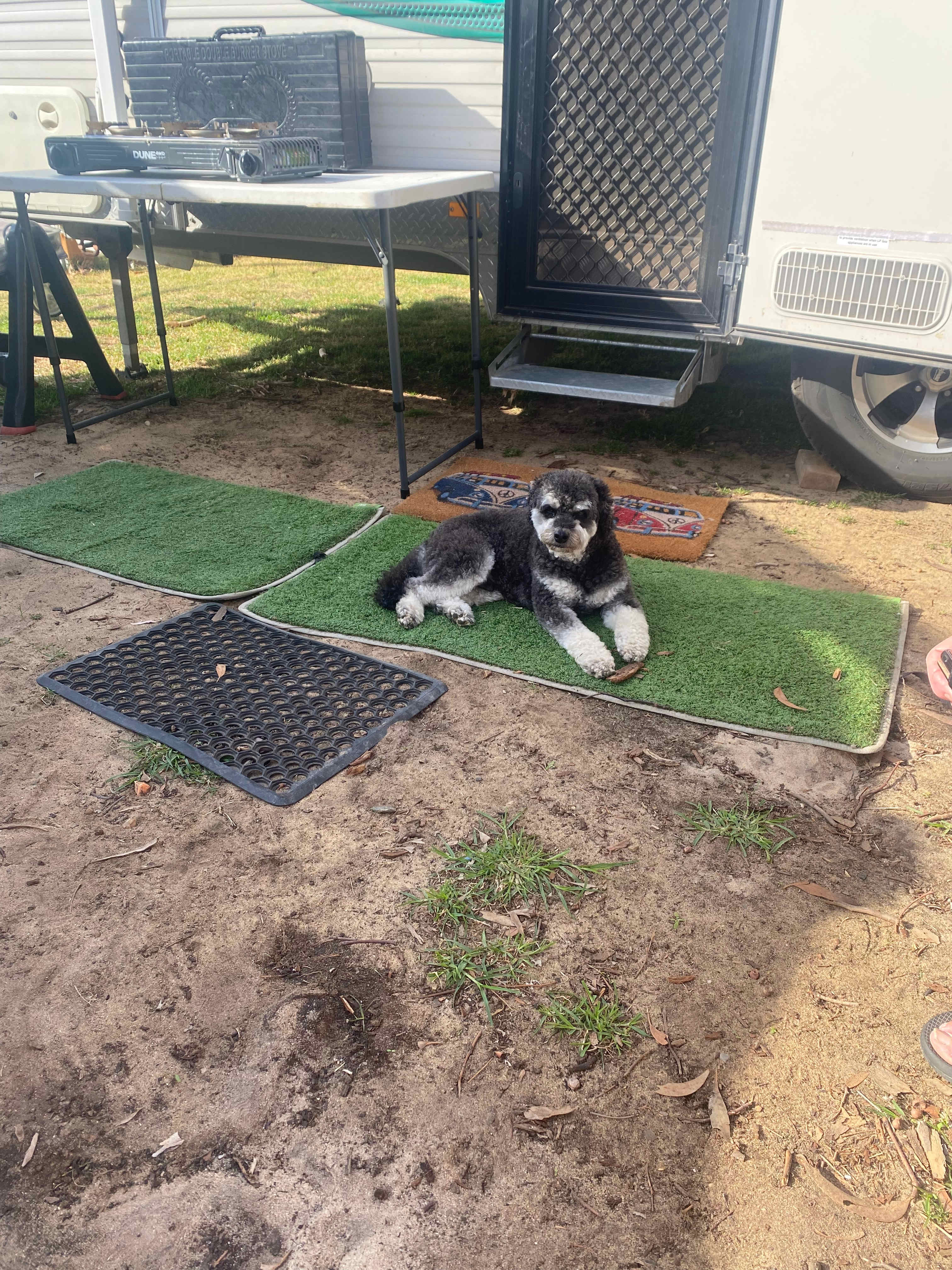 Dudley enjoying life. 