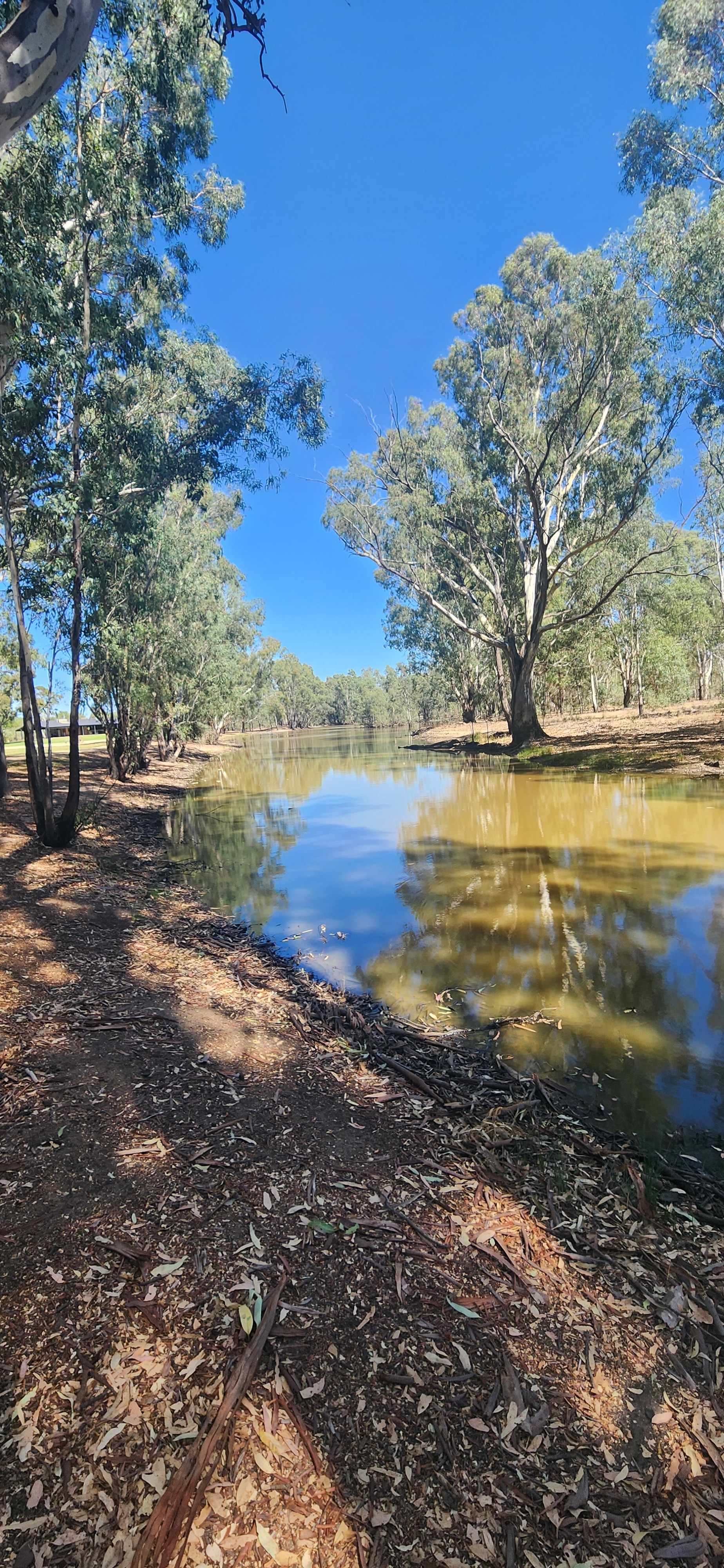 The Paddock at Ulupna