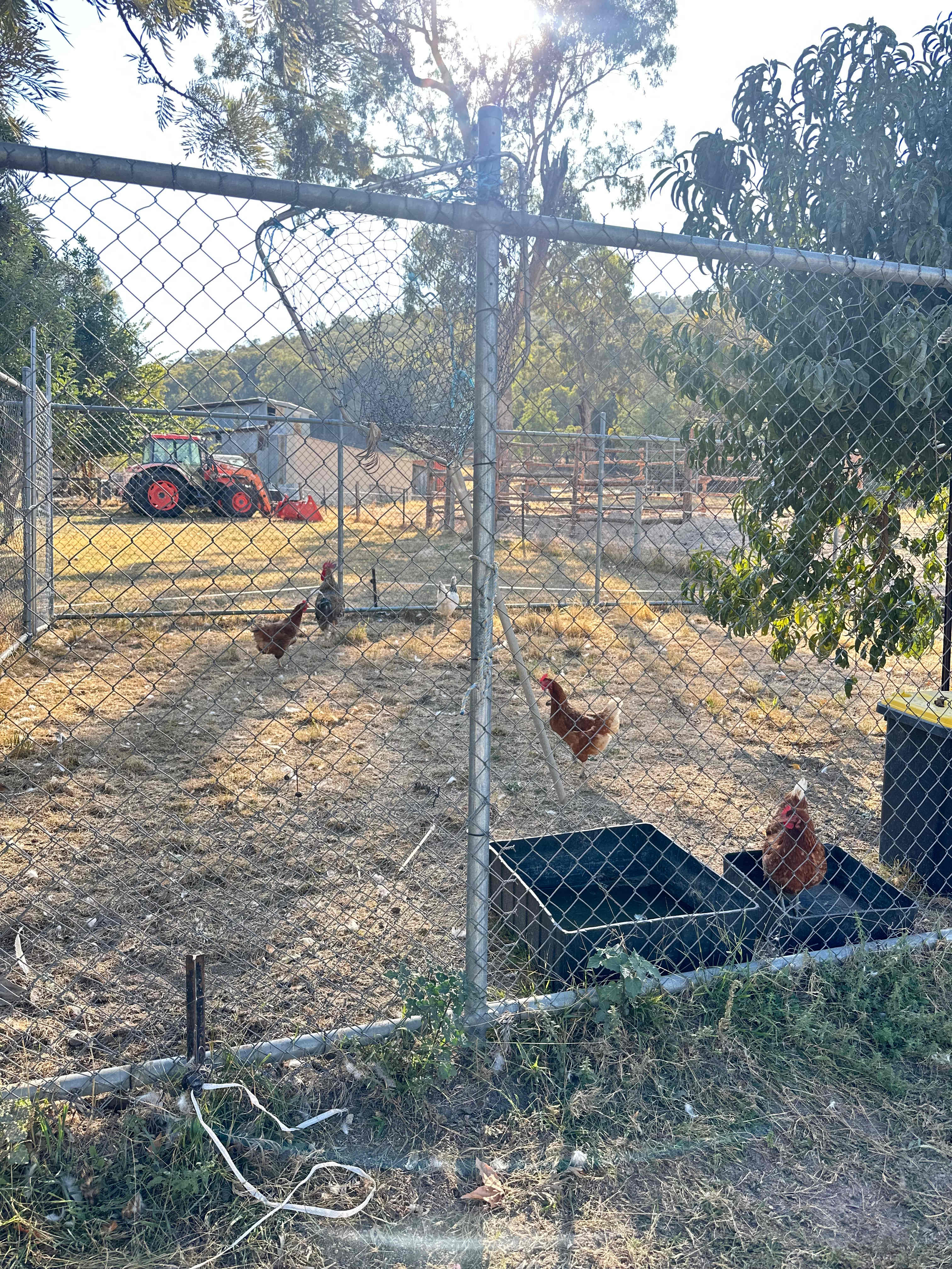 Hunters Spread Farmstay