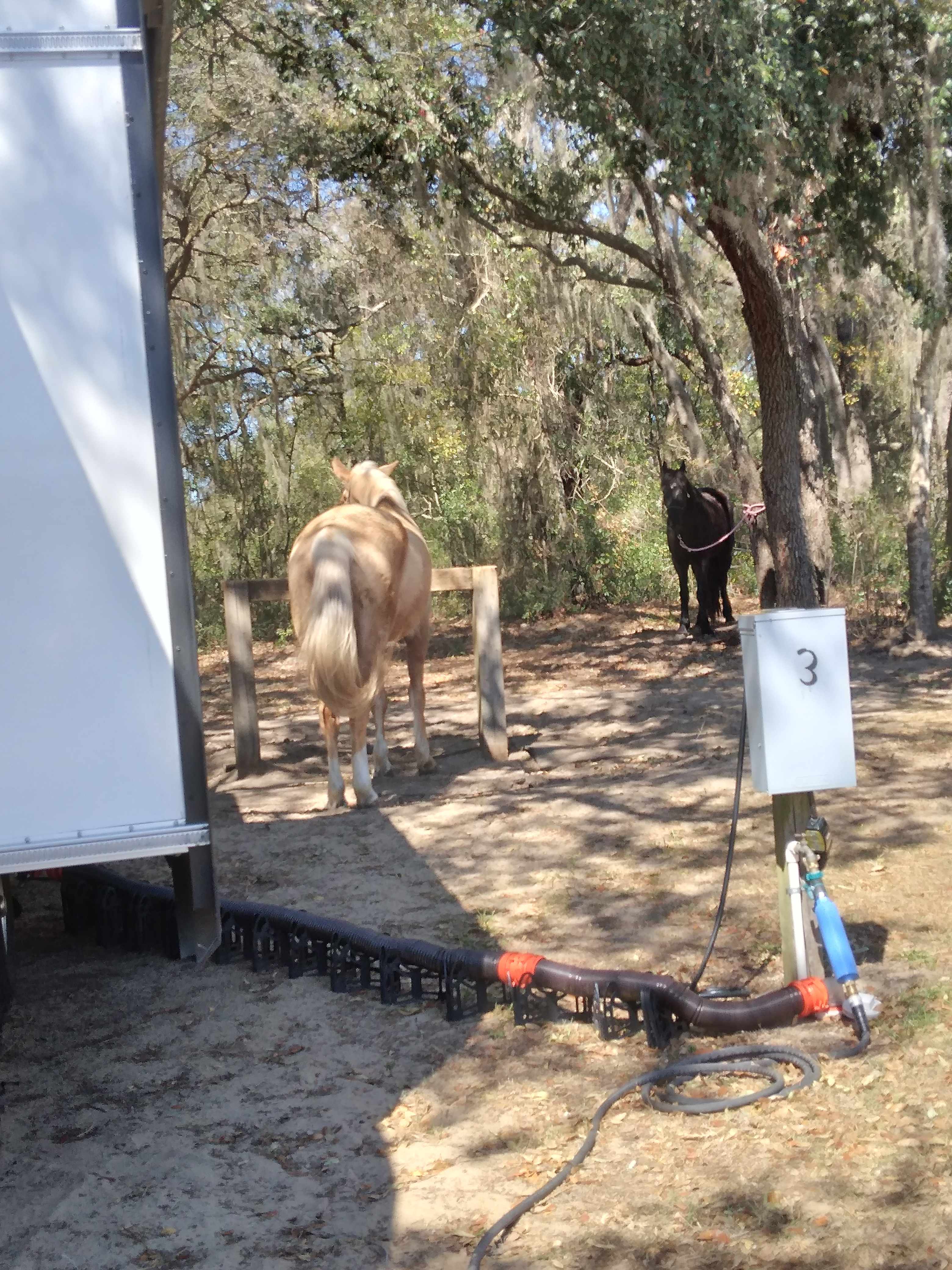 Black Horse Resort Ranch Campground