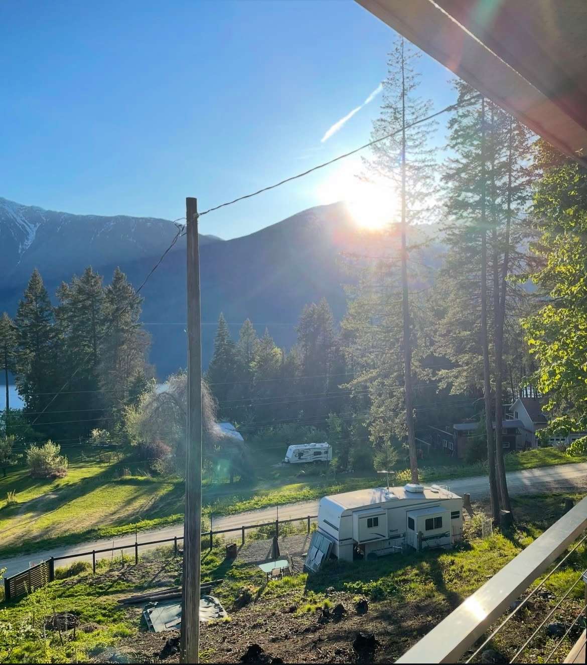 Kootenay Thyme