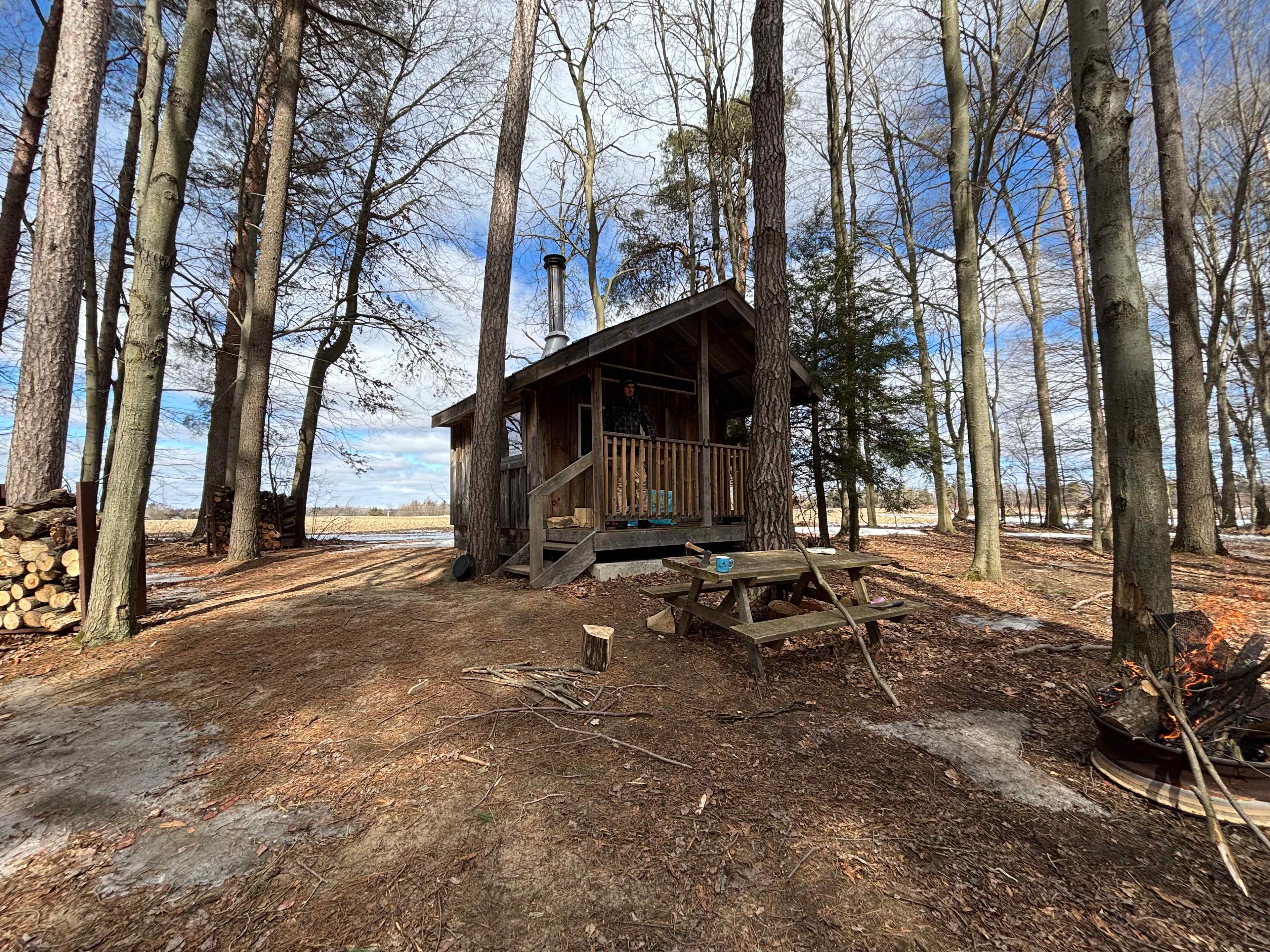 Spring Arbour Magic Forest &Trails!