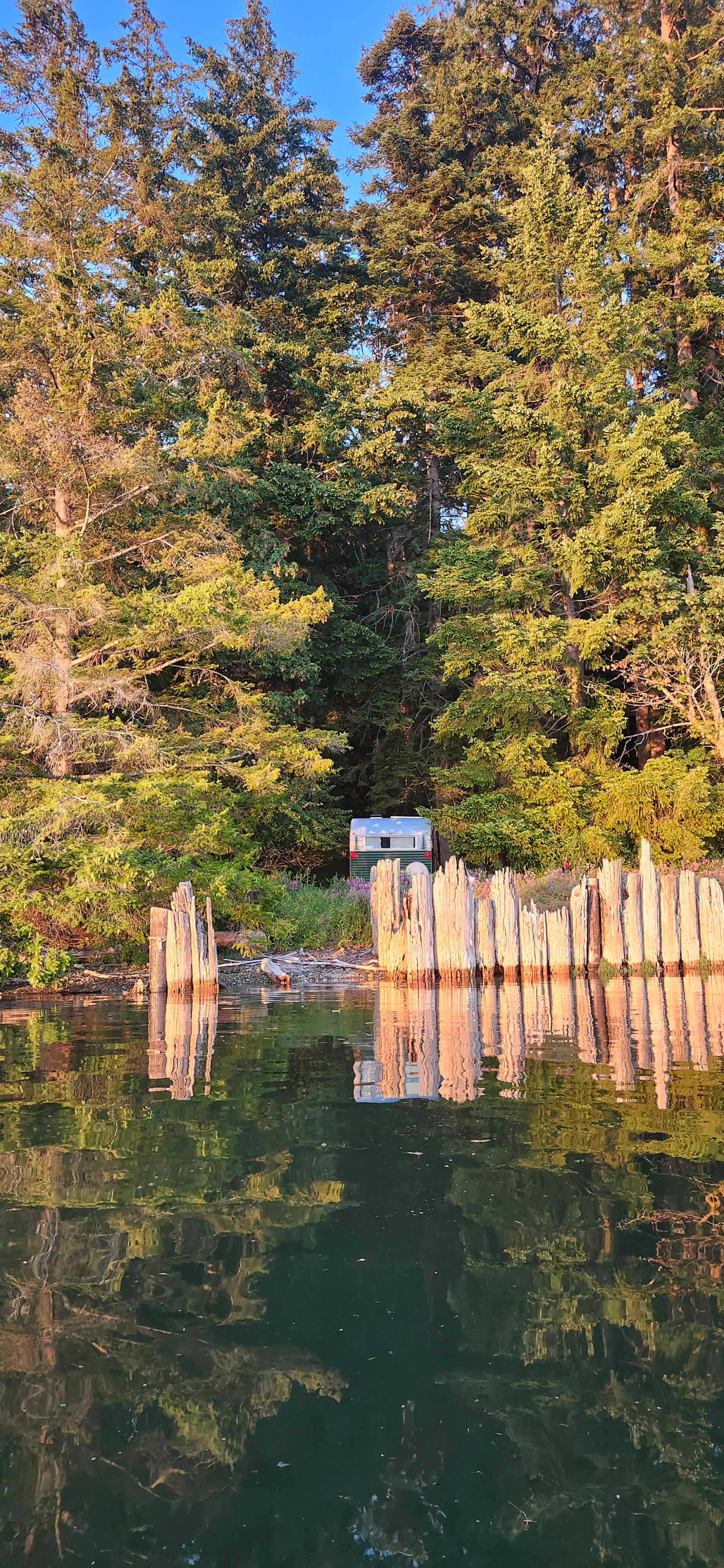 Woodland Grove on the Coast