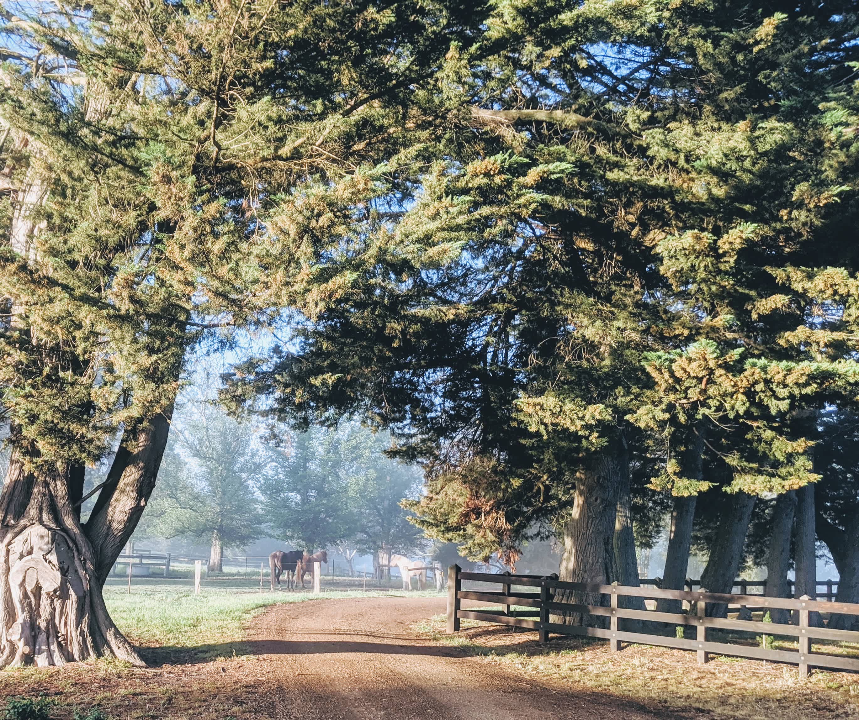 Summerleigh Homestead, circa 1876