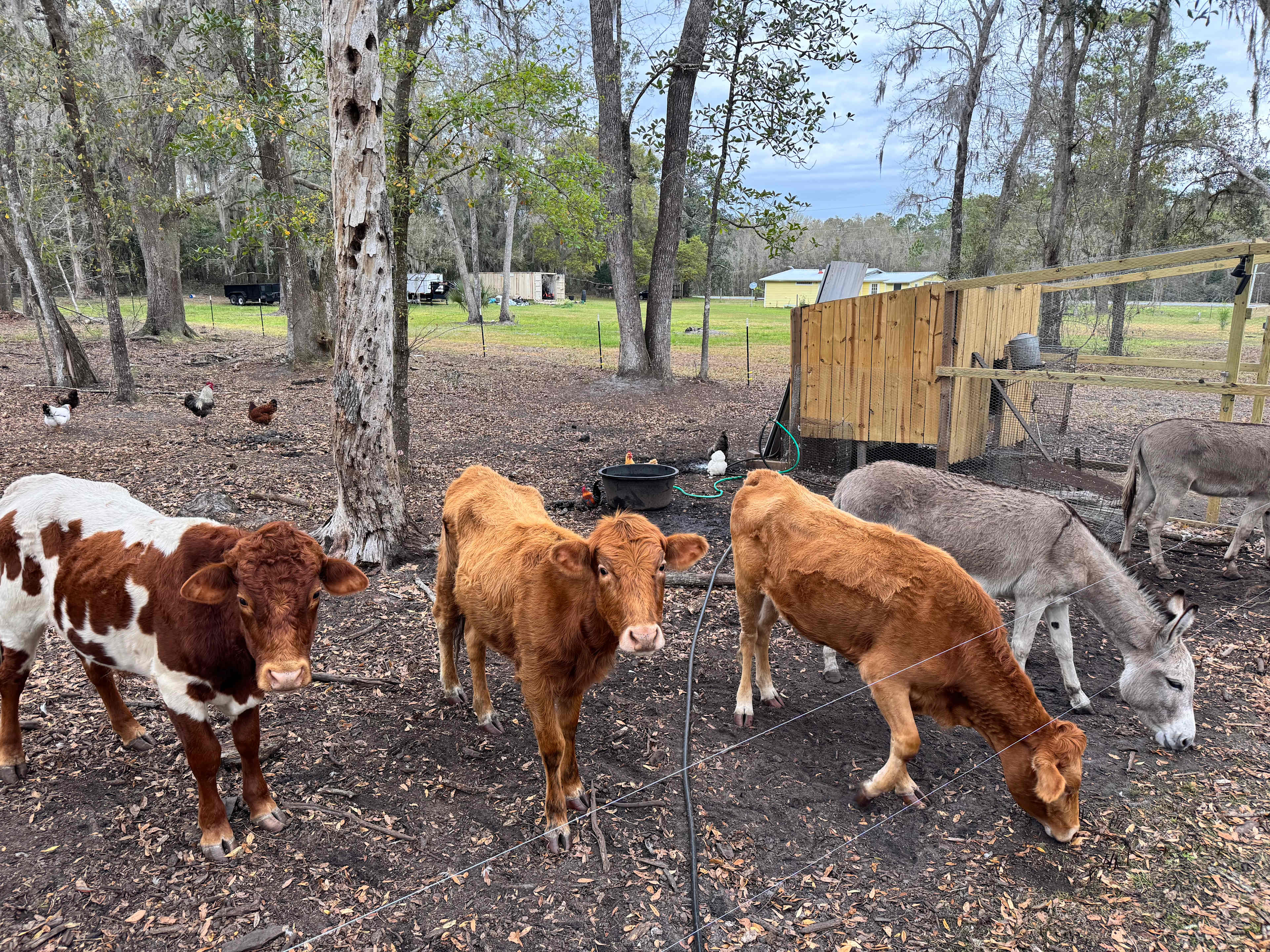 Lochloosa Creek Hideaway + Biking