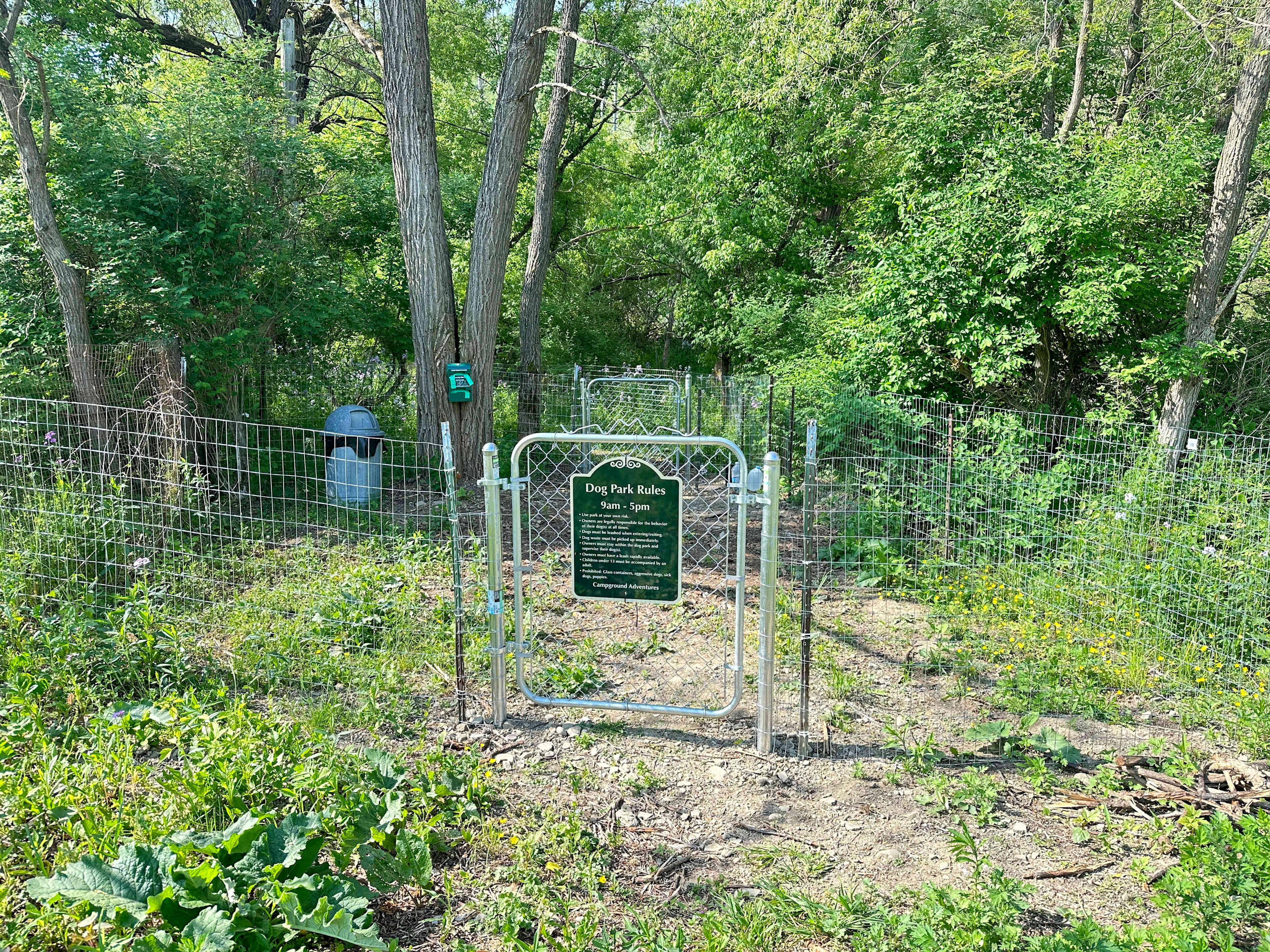 Picture of the site