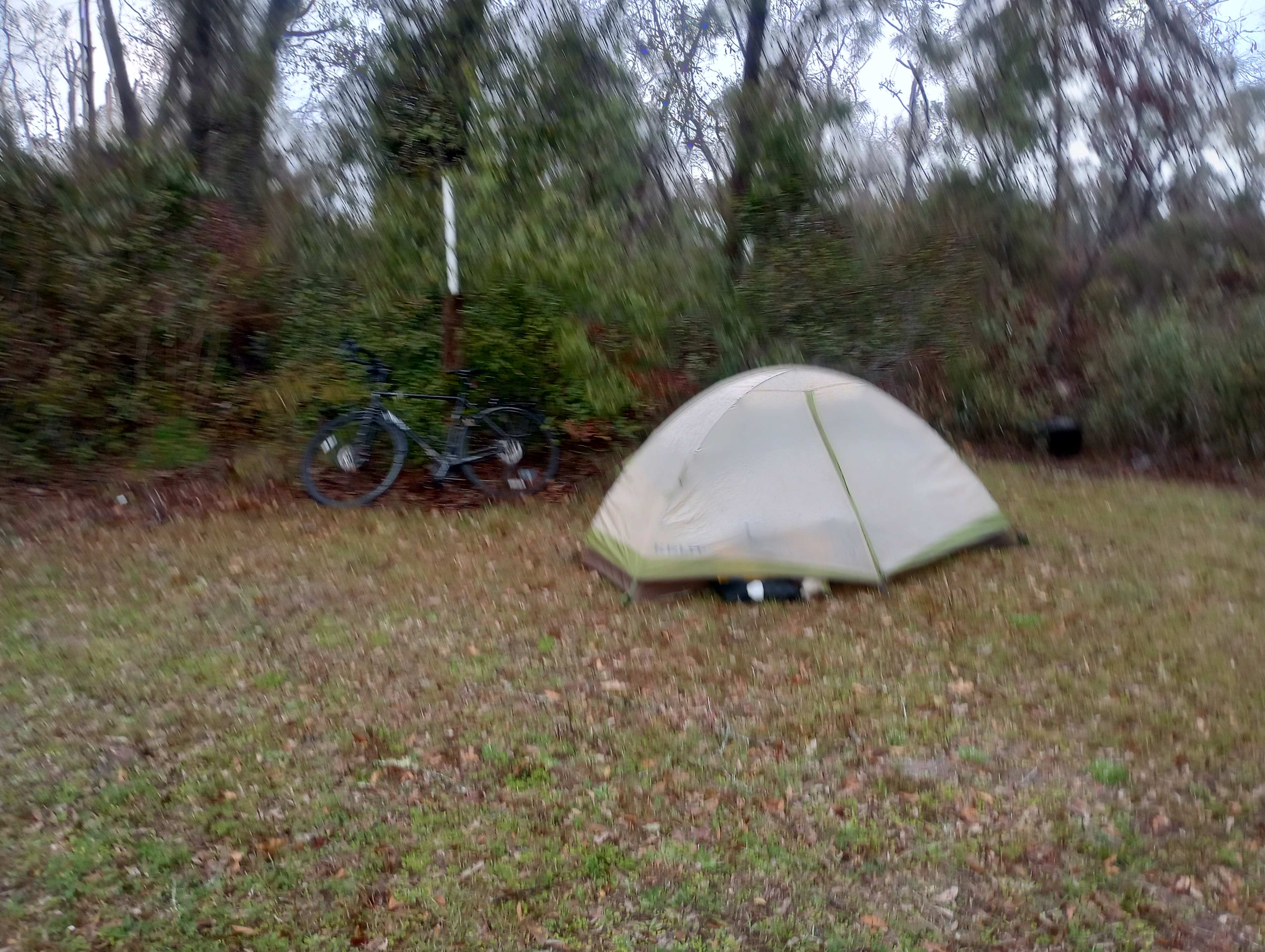 Ellaville Junction Primitive camp