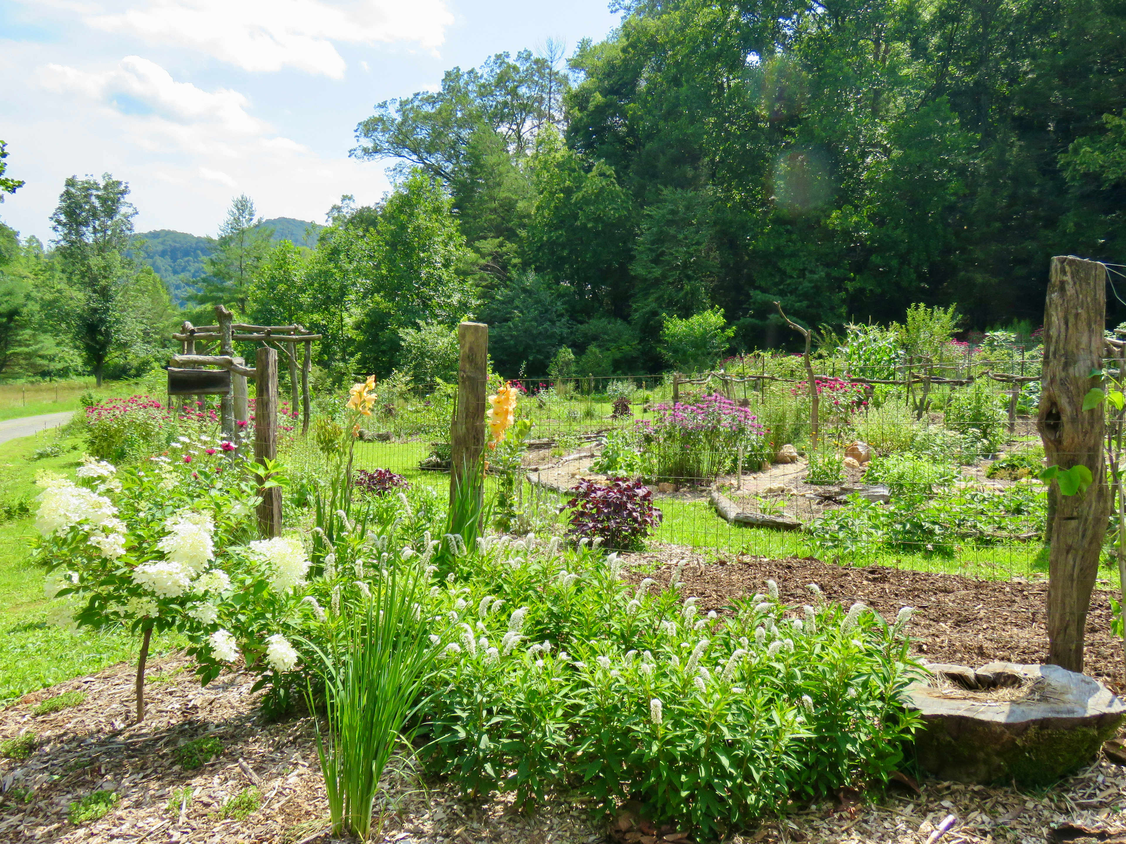 The gardens at Longbottom Leaves. 