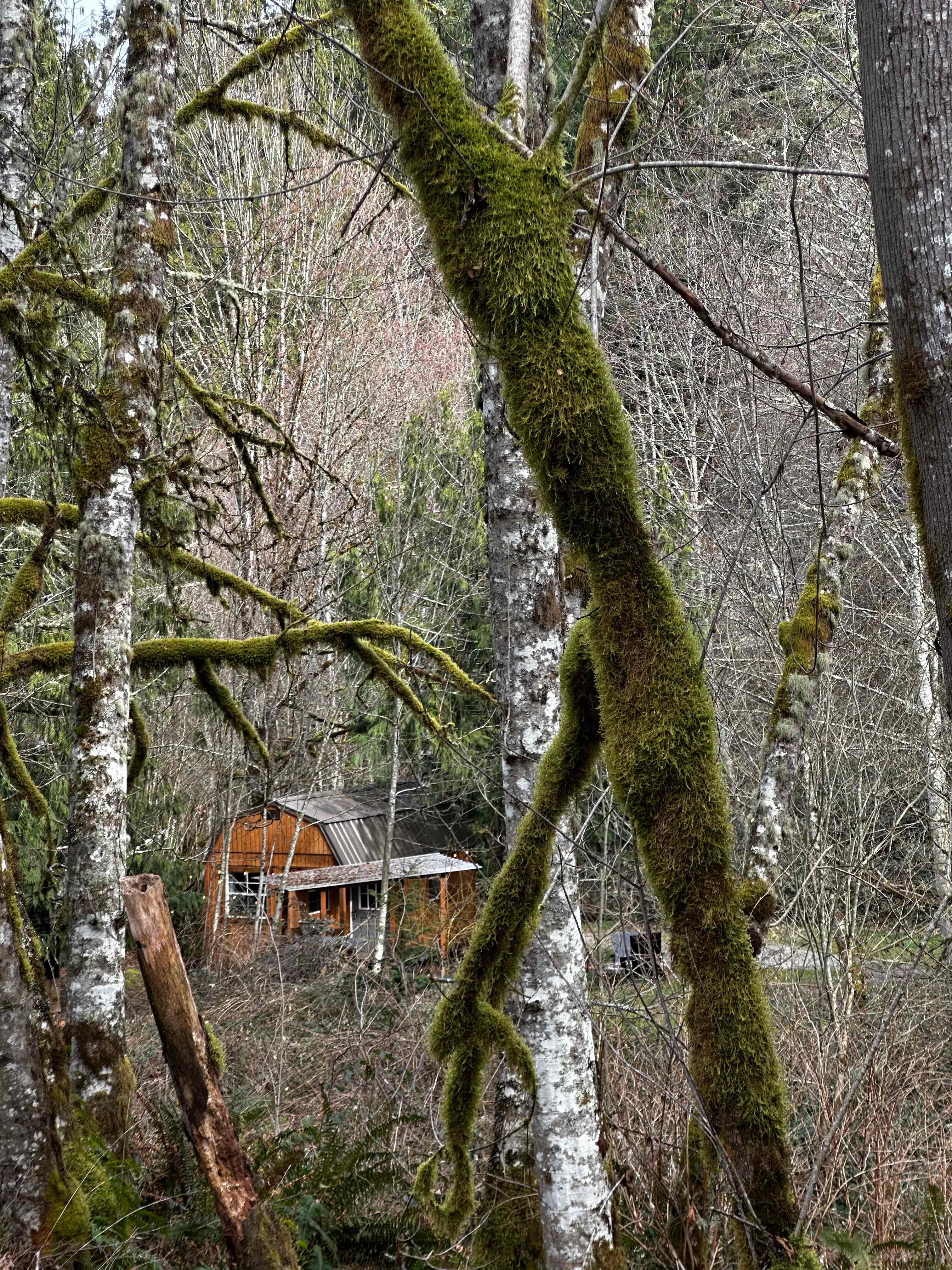 Cedar River Retreat