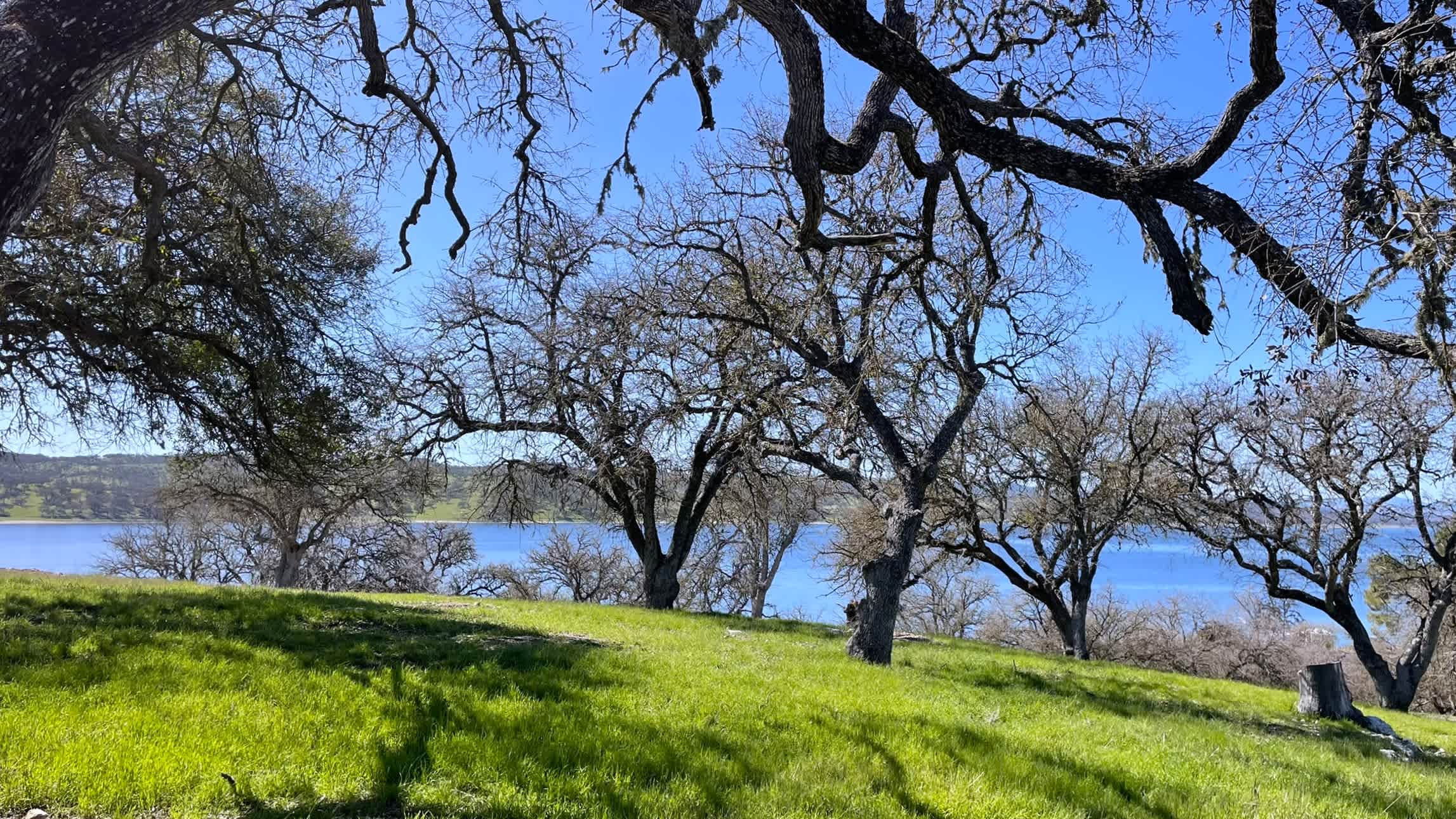 Lake San Antonio.