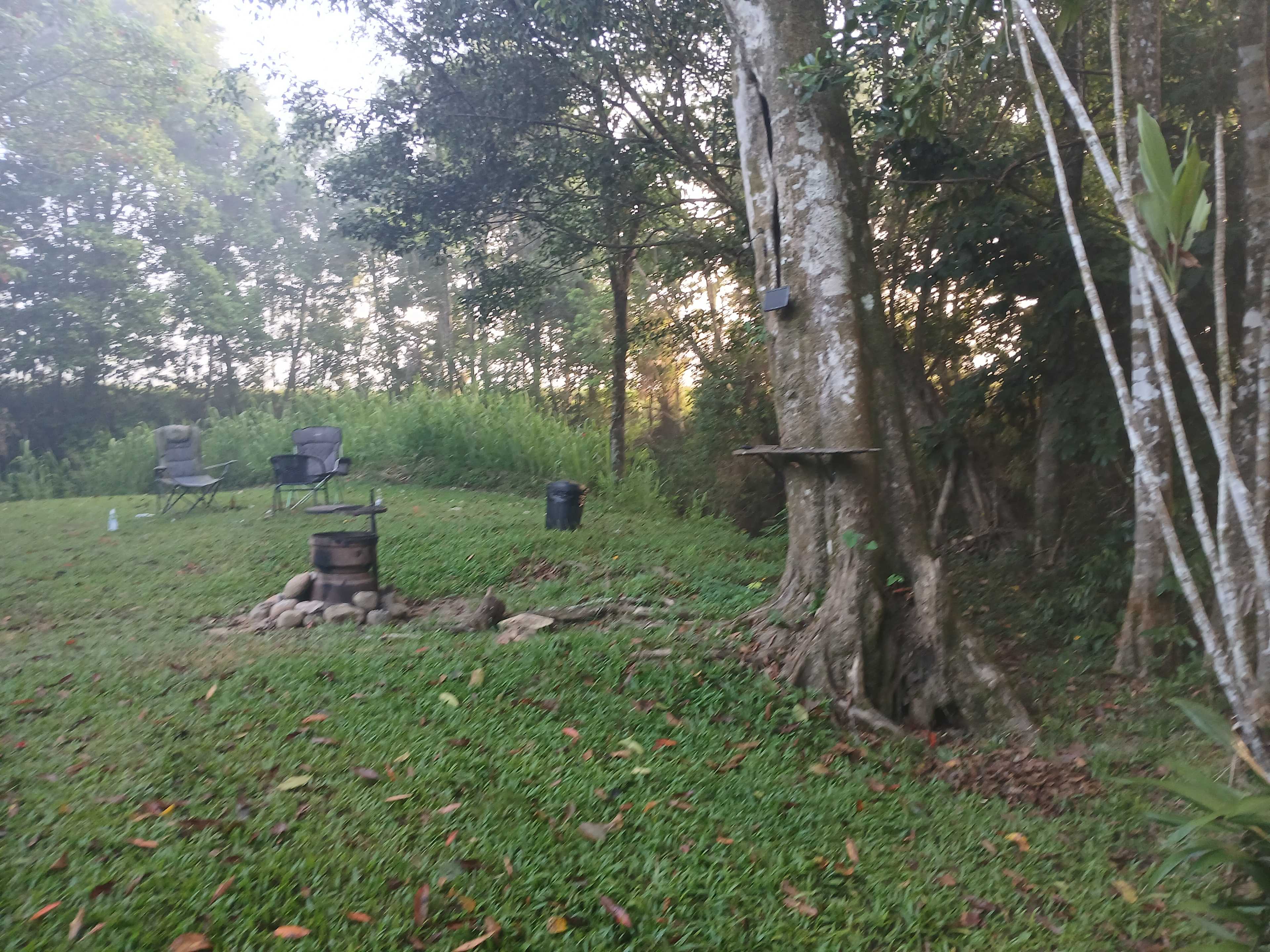 Tropical Woopen Creek Camping