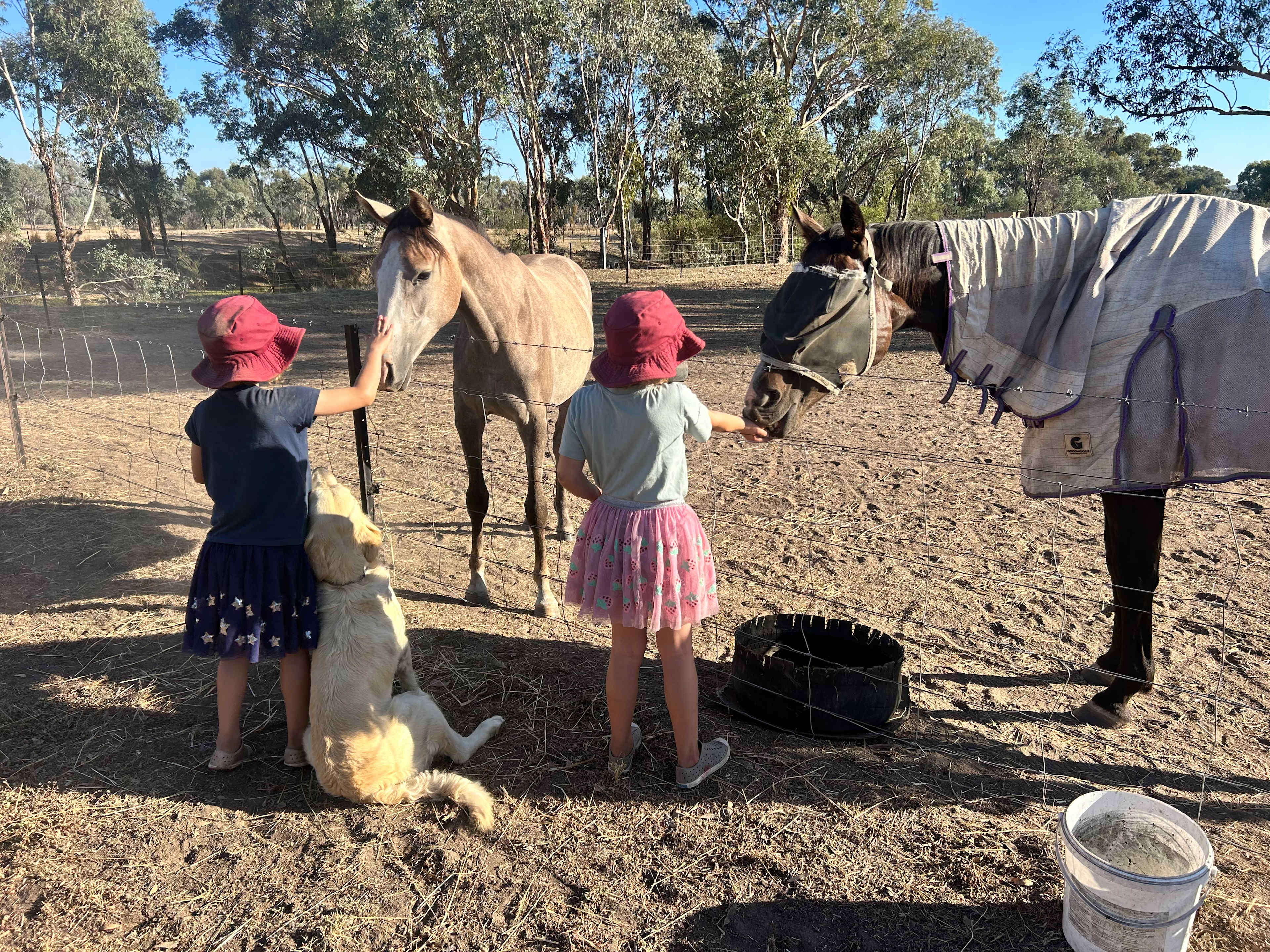 Retreat to Granite Springs Farmstay