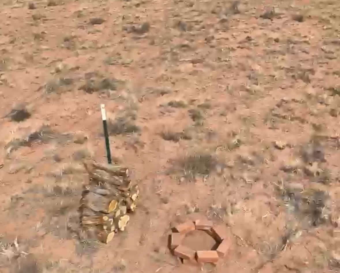 Petrified's Most Peaceful Place