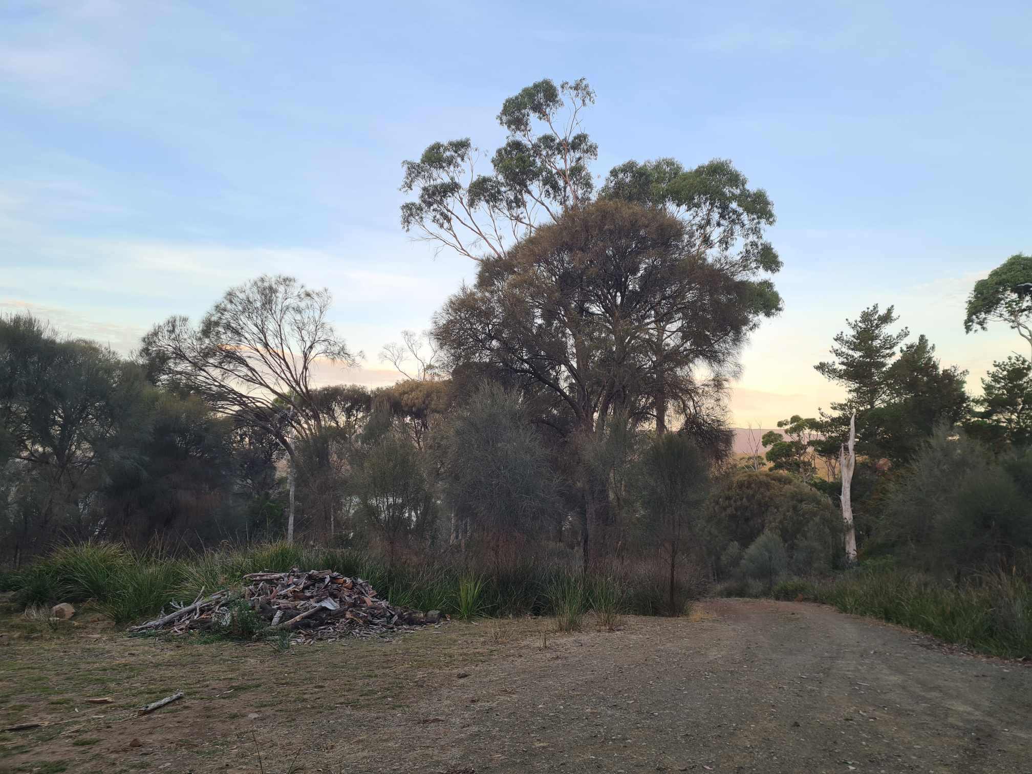 South Bruny Paradise