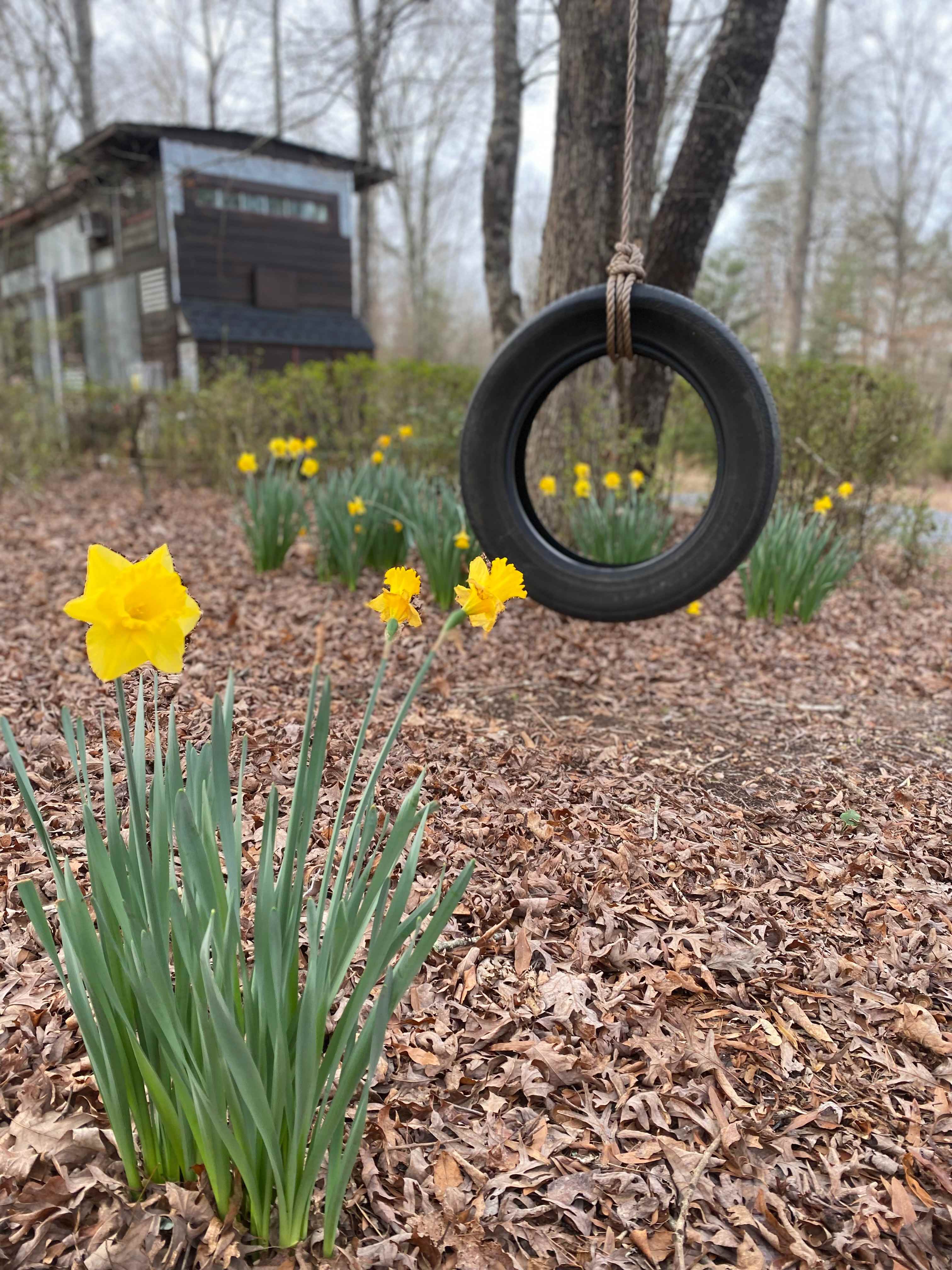 Adkins Nature Retreat