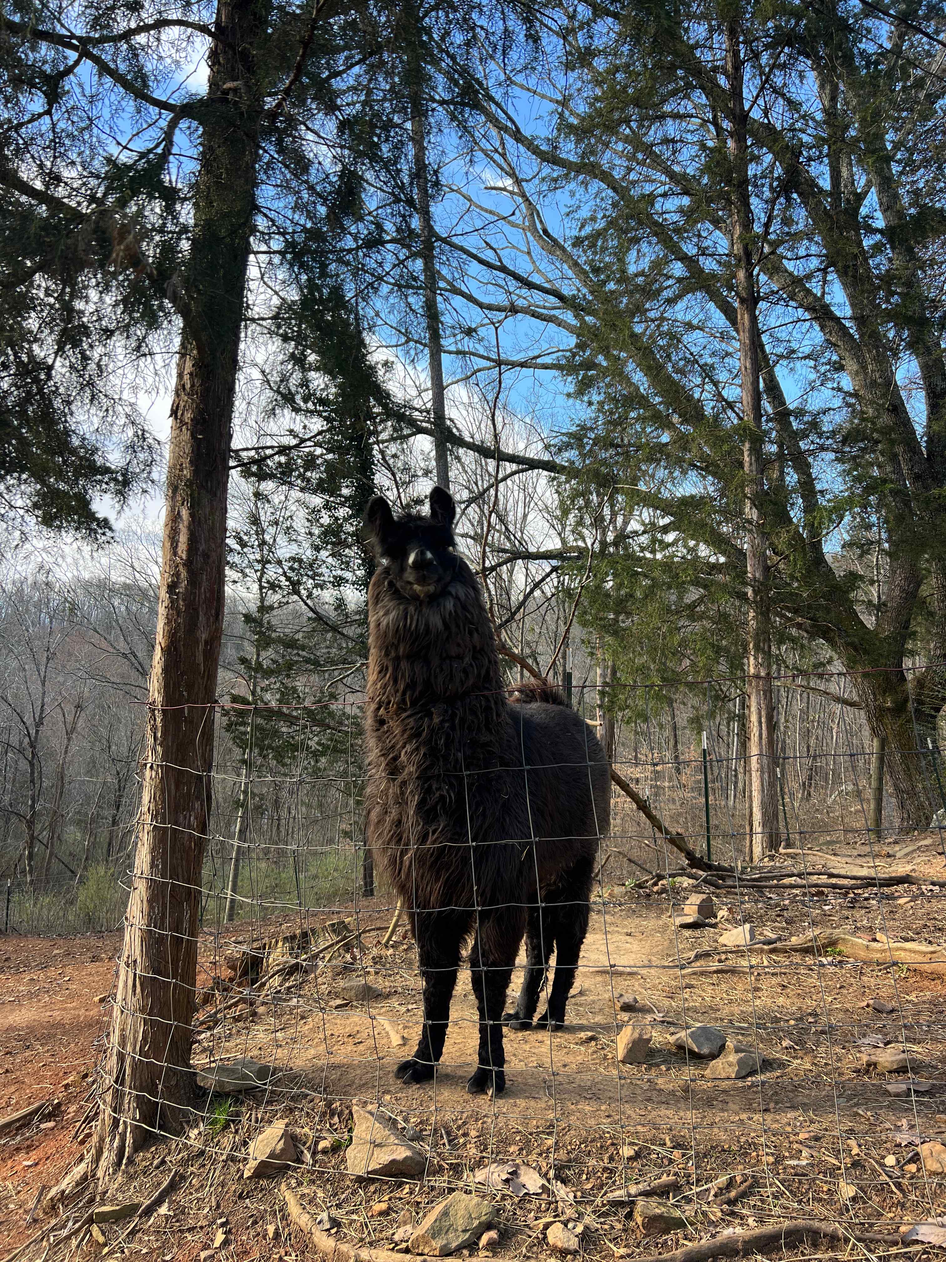 Peaceful Hollow Farm