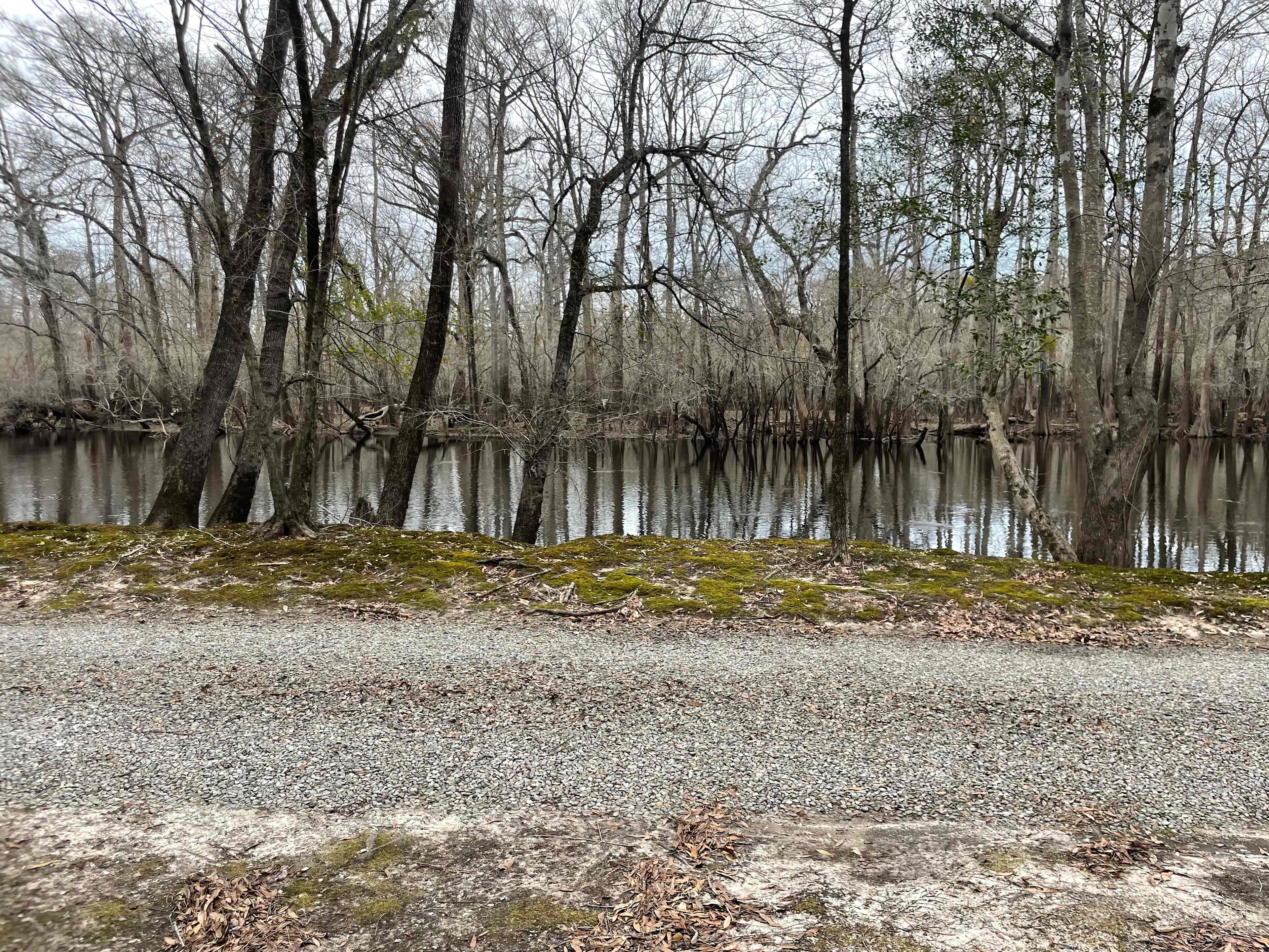 Black River Camping Ventures