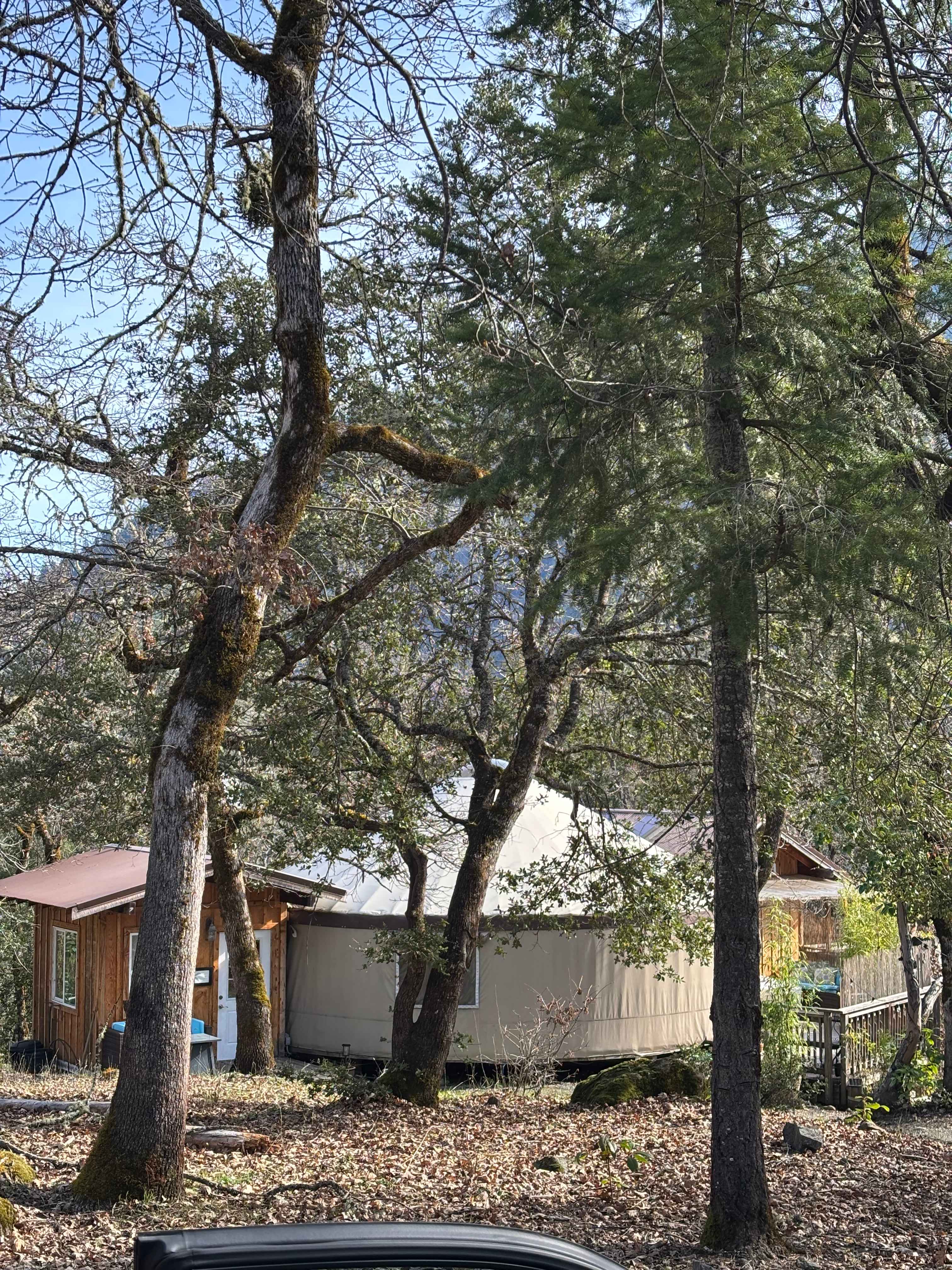 Outside view of the yurt 