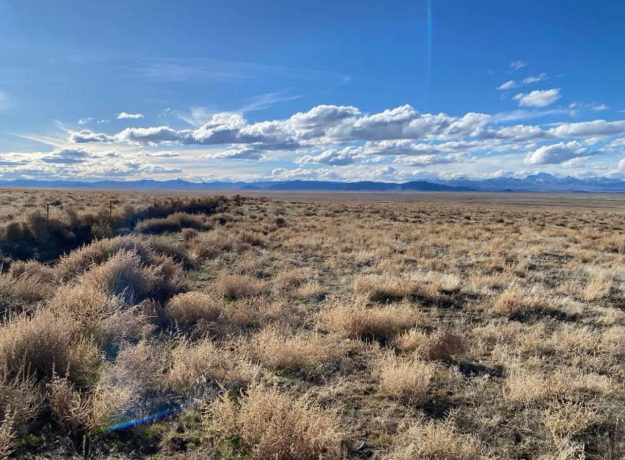Ongster Lands Winnemucca Sand Dunes