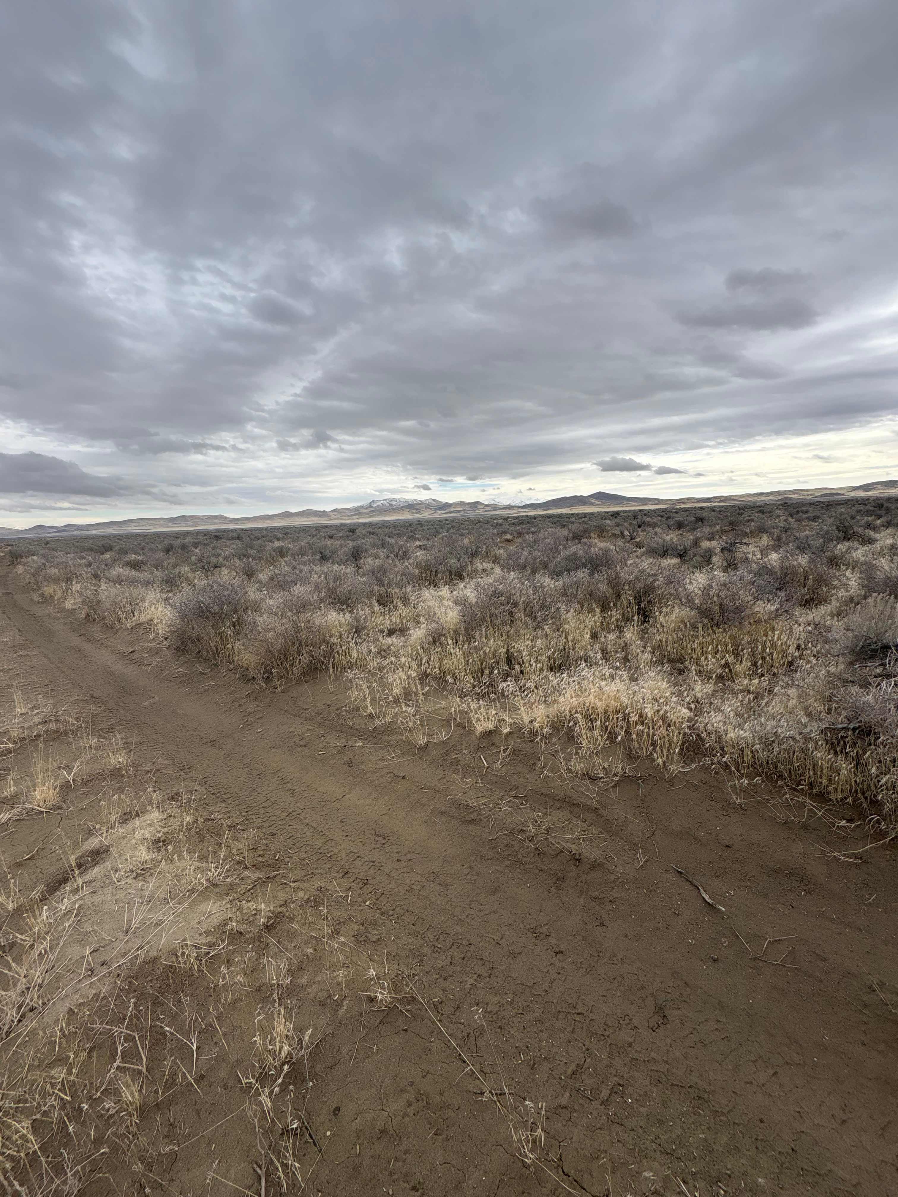 Ongster Lands Winnemucca Sand Dunes