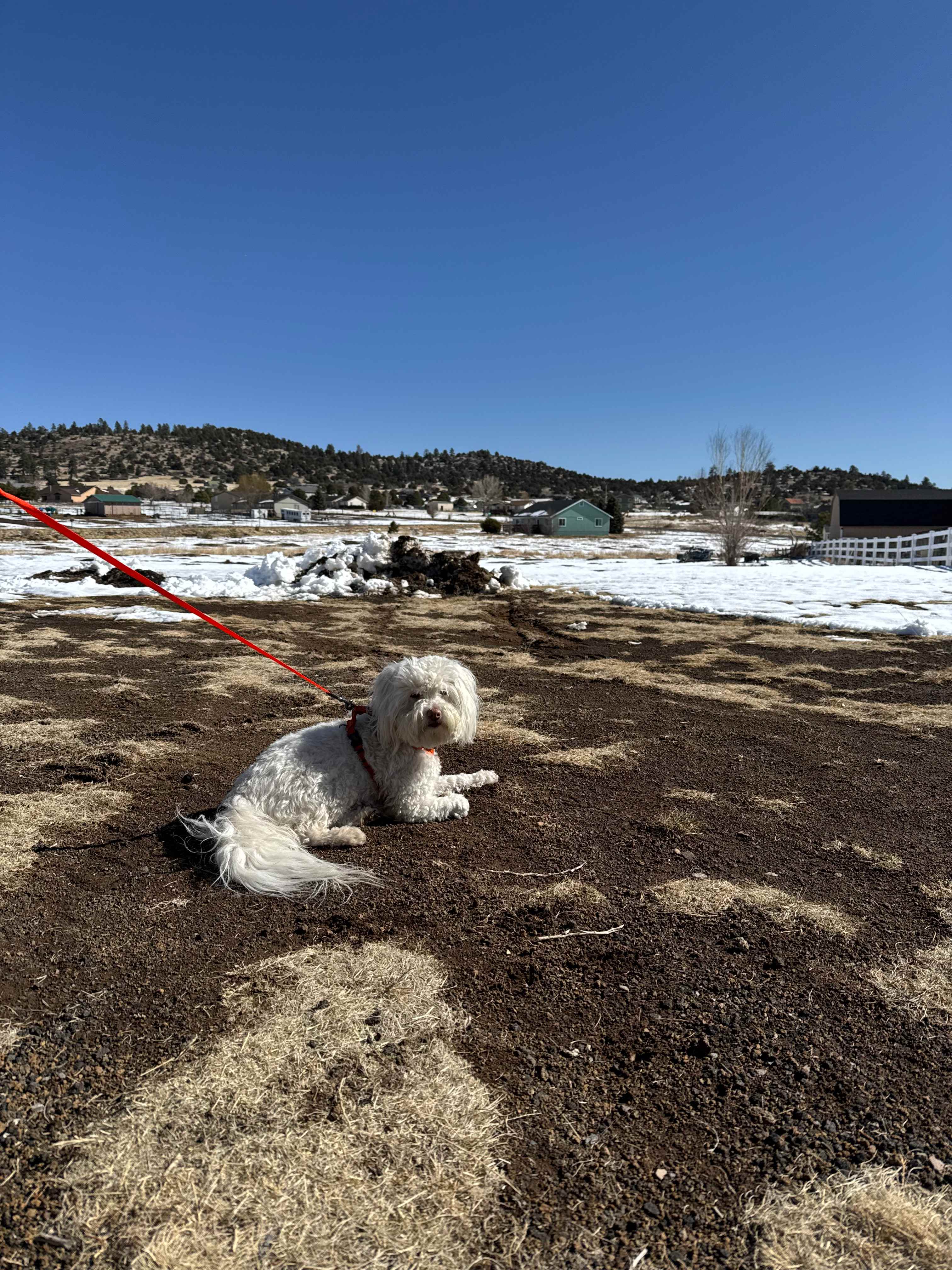 Prarie flats