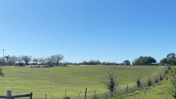 Windy Acres