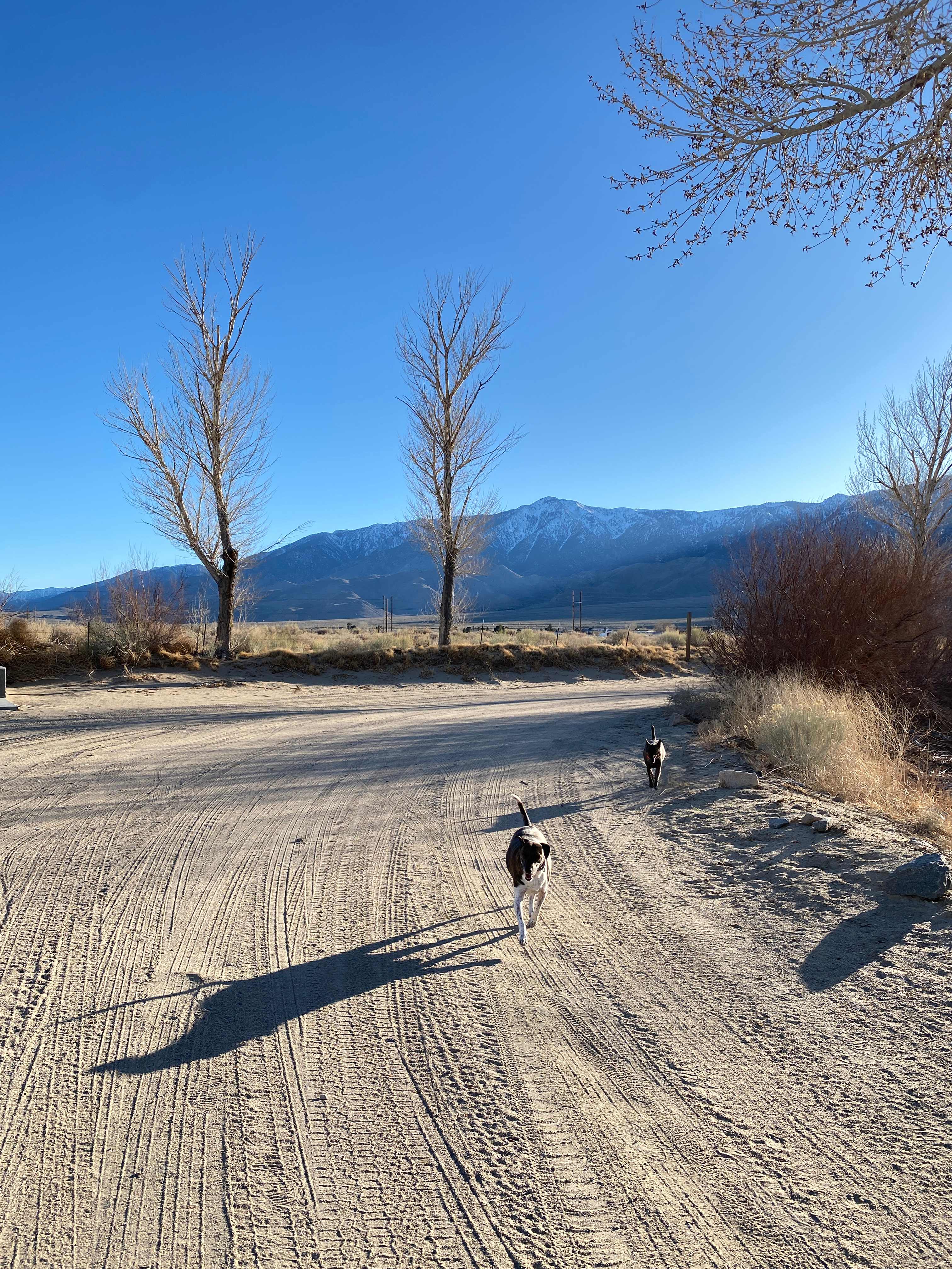 Lake Olancha RV Park and Campground