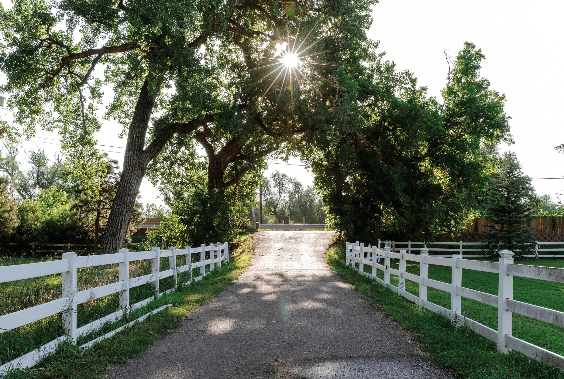 Yetman Farms