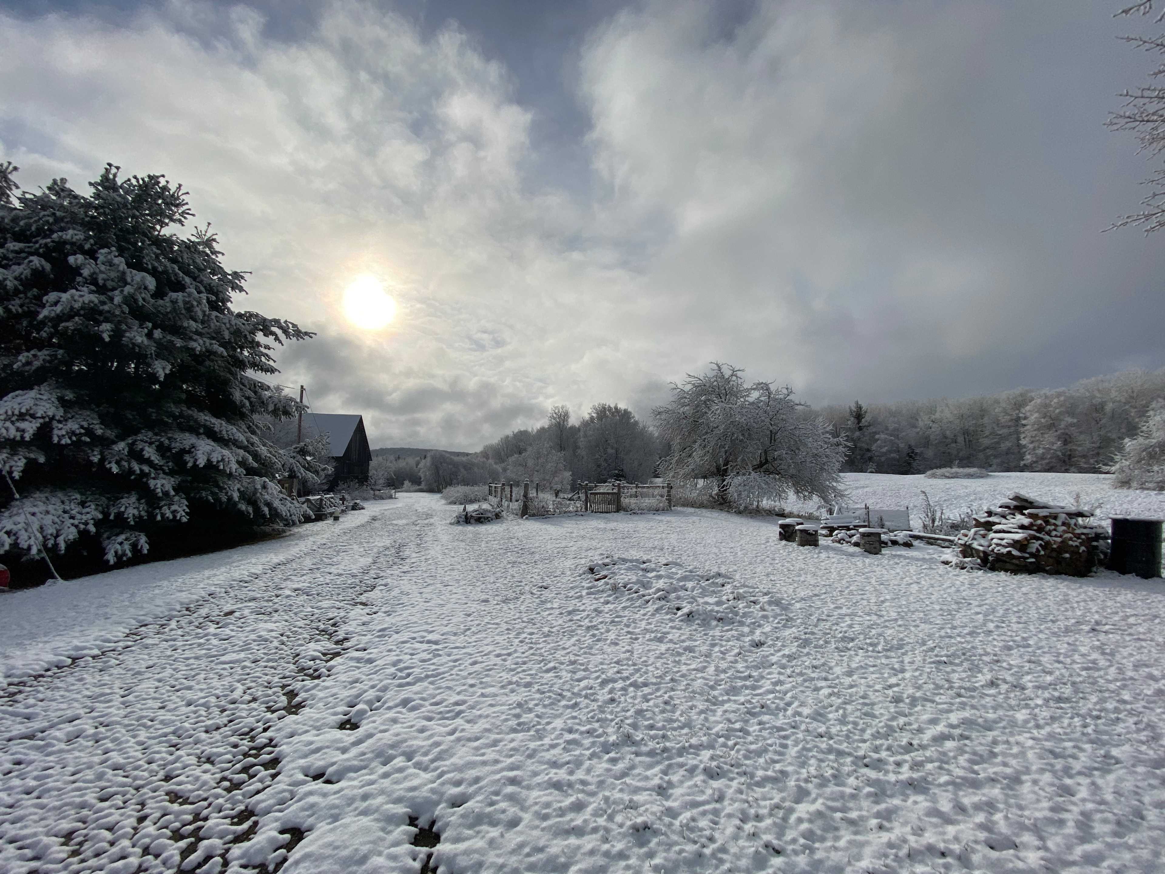 Coyote Tales Farm Studios
