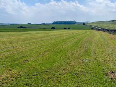 Damside Campsite