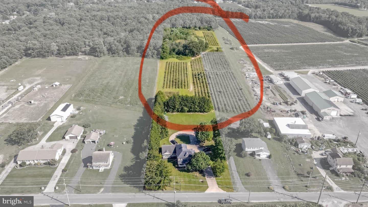 Double Dog Farm