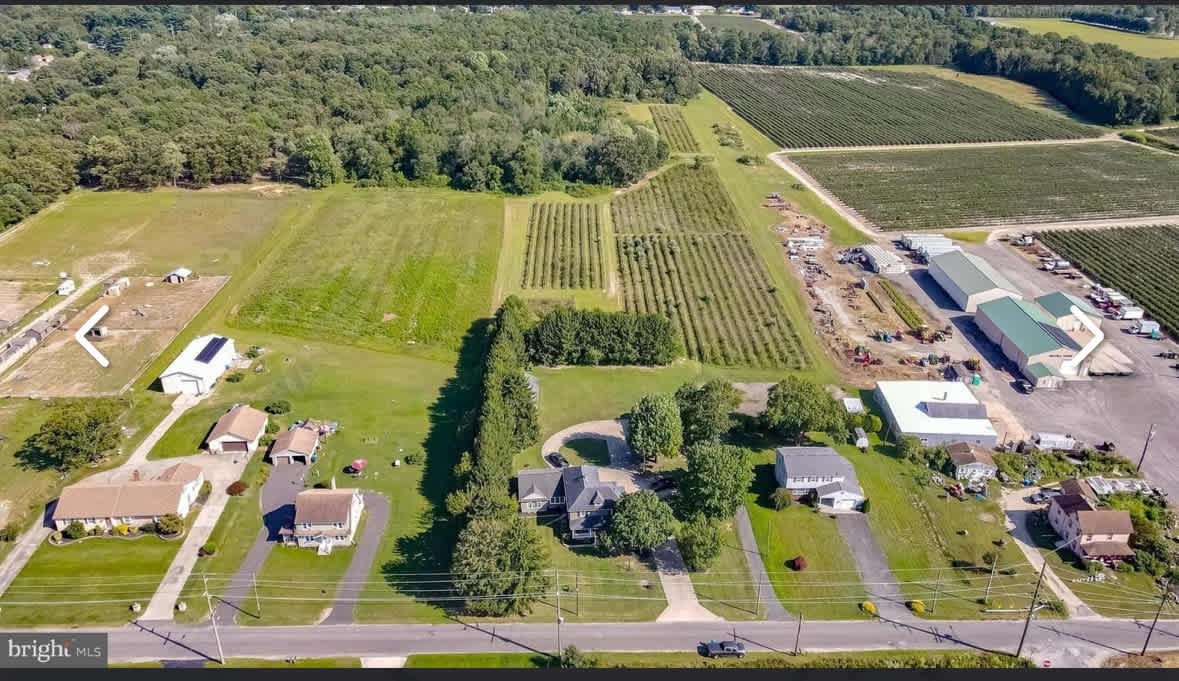 Double Dog Farm
