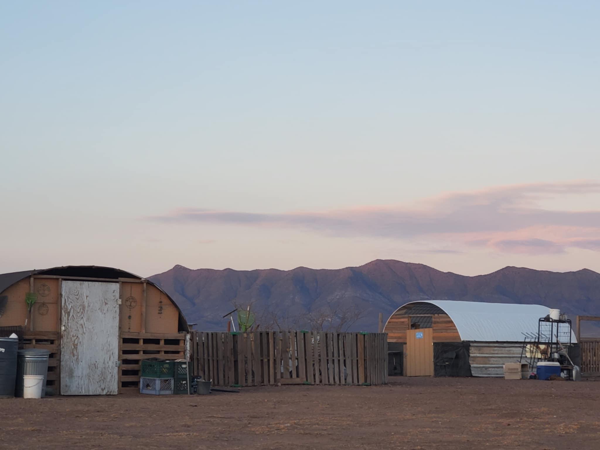 Looney Zuni Acres