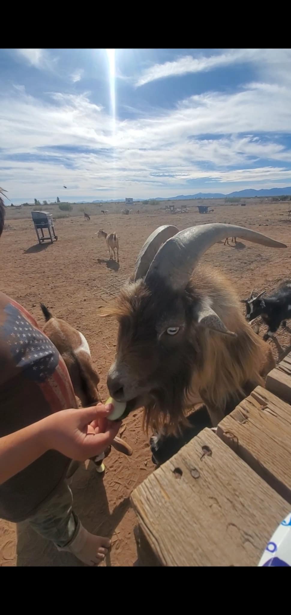Looney Zuni Acres