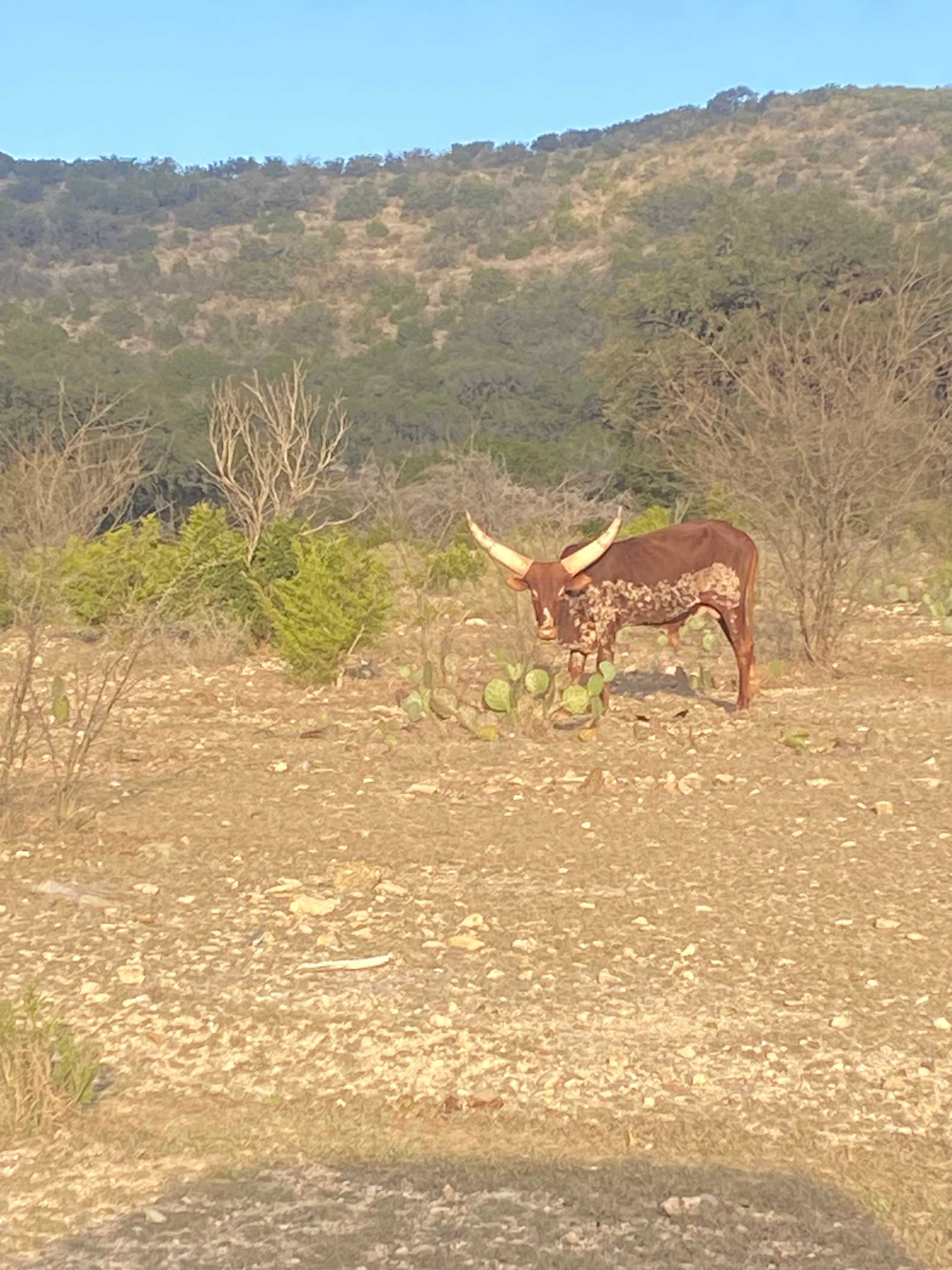Hiker's Escape on 6,000 Acre Ranch
