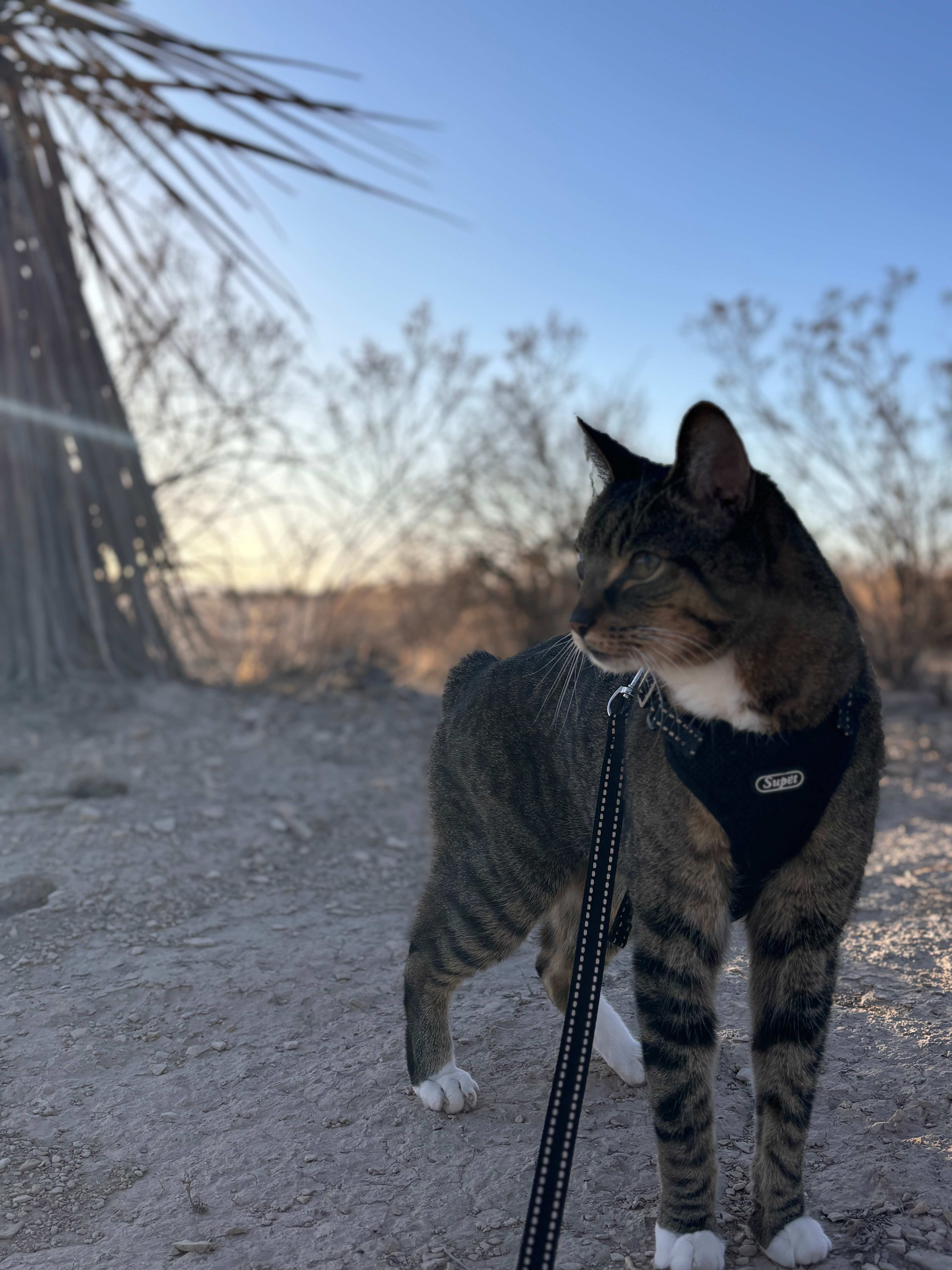 Out on a walk 