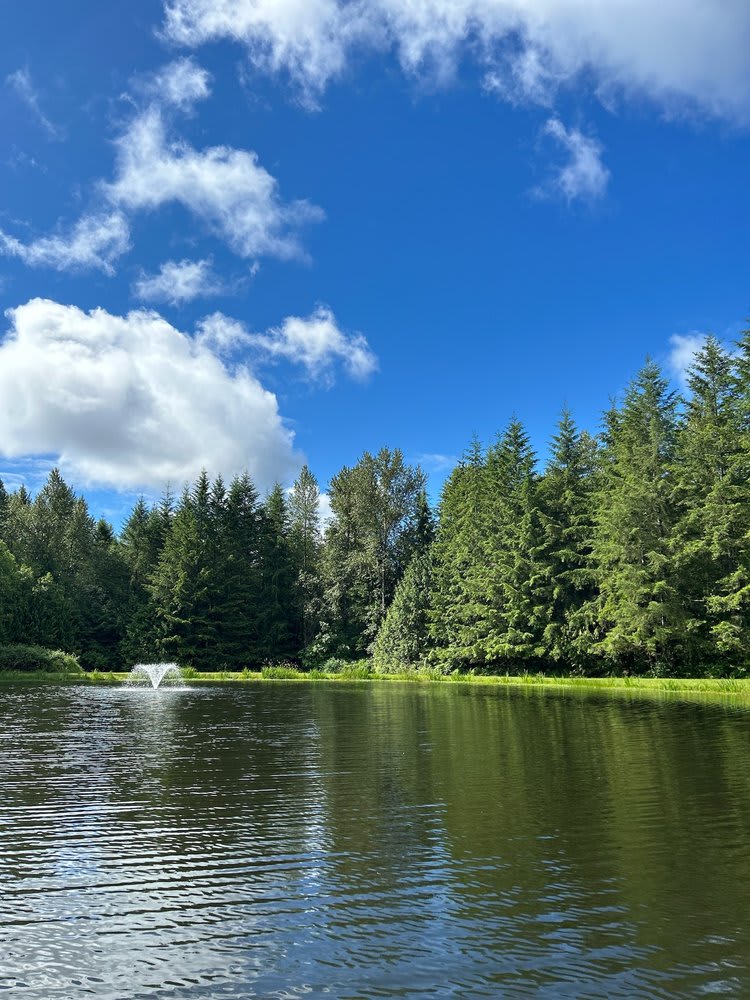 Hidden Lake