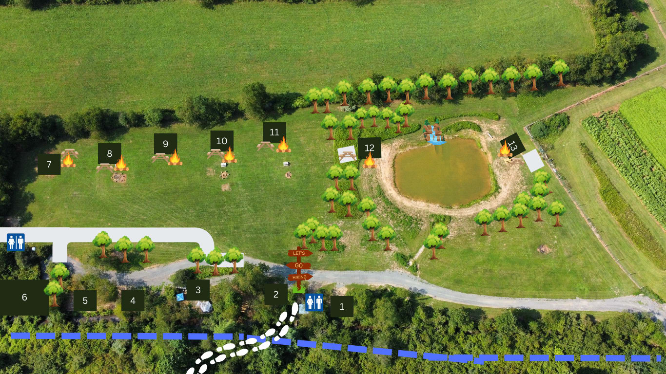 Picture of the site