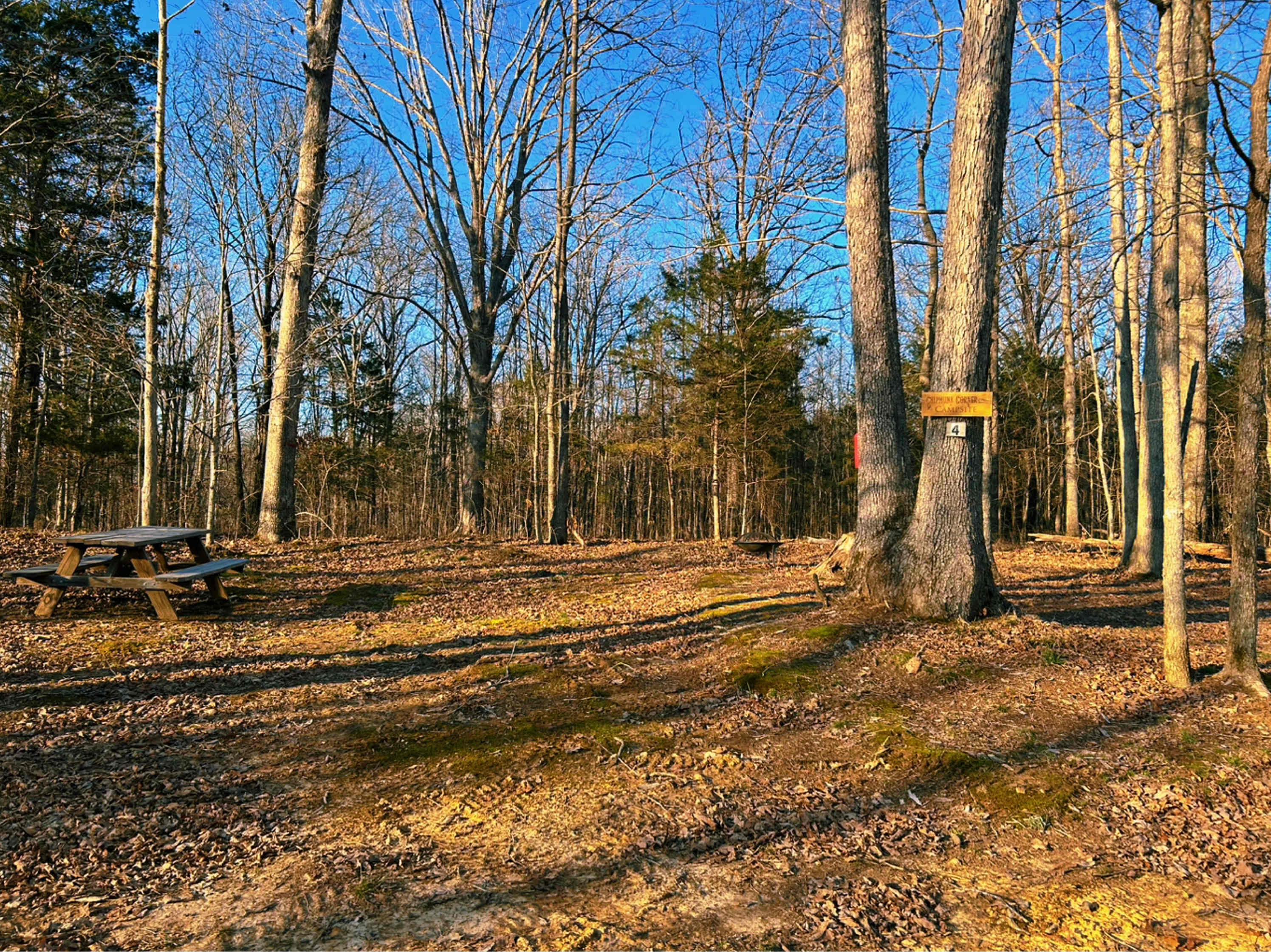 Peaceful Hills Chipmunk Corner is a primitive campsite located in the 100 acre wood. It's in the heart of middle Tennessee and surrounded by nature. No city lights or noises here.  Expect to see the millions of bright stars on a clear night when you stay here.