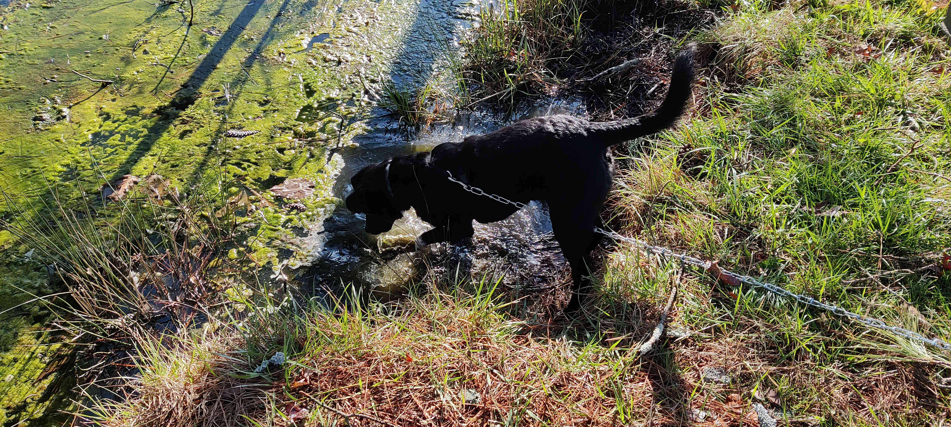 New Norm Farm Campgrounds