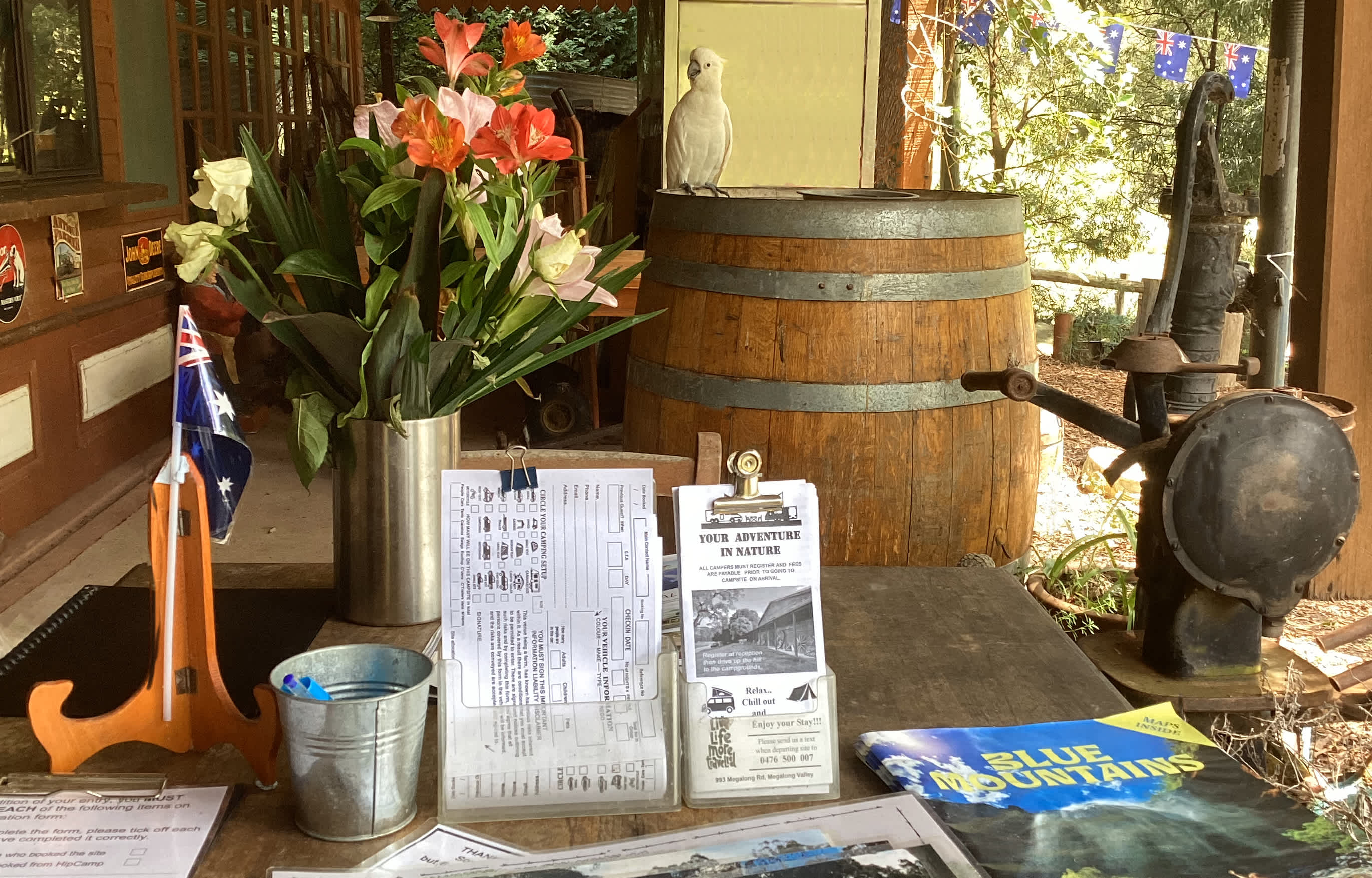 Megalong Valley Farm