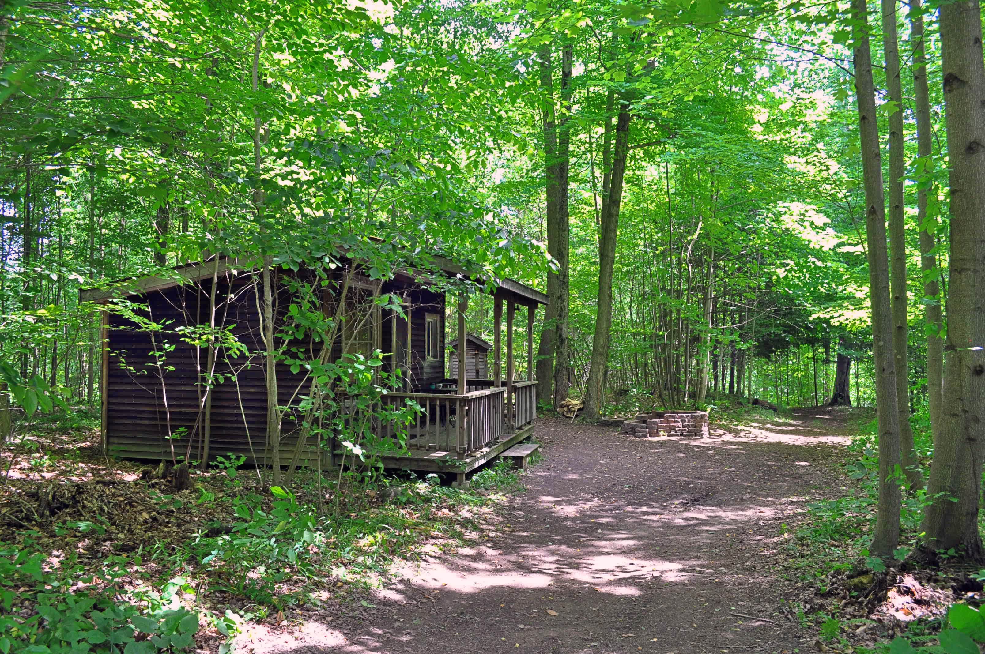 Sawdust FarmCamp