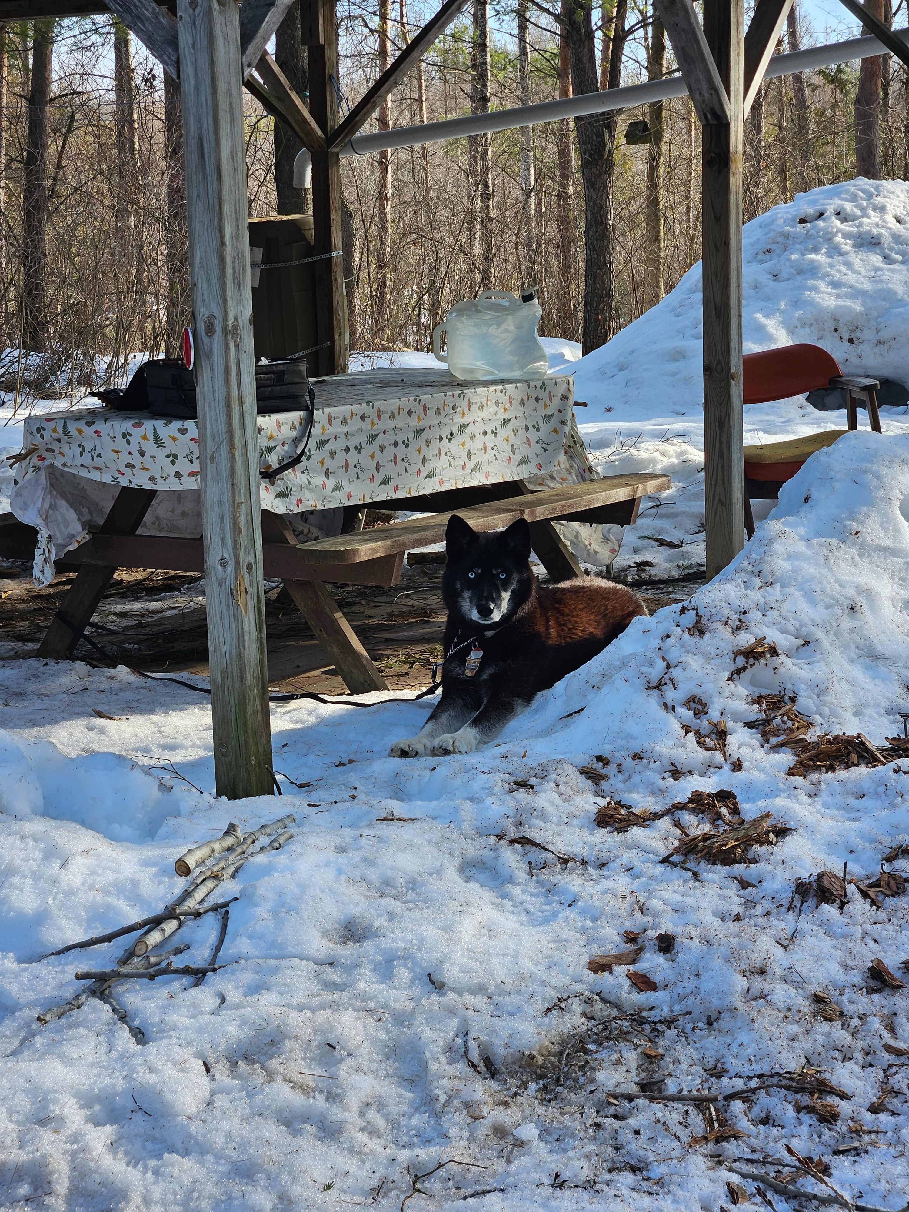 Pinehaven Camping And Cabin