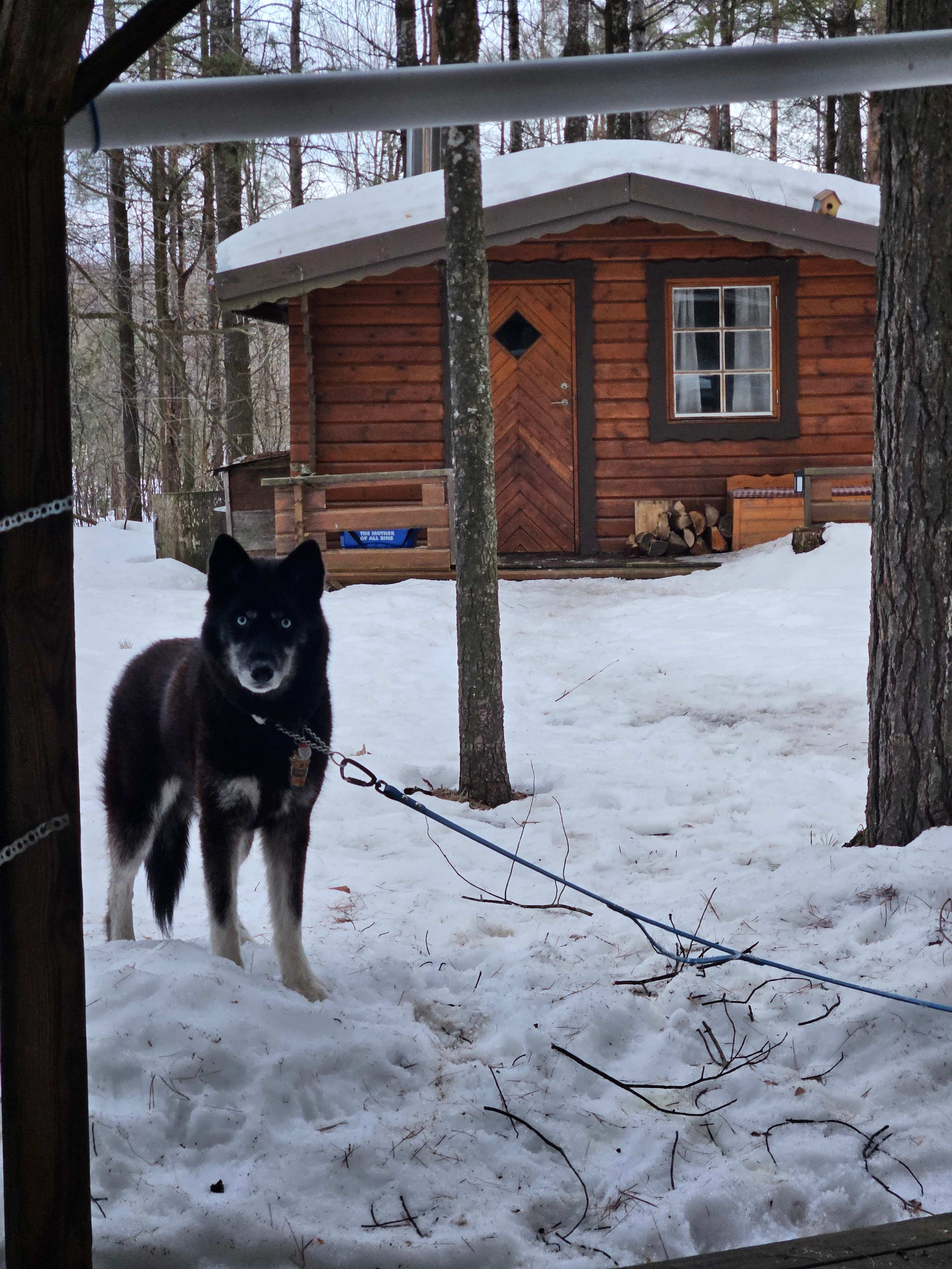 Pinehaven Camping And Cabin