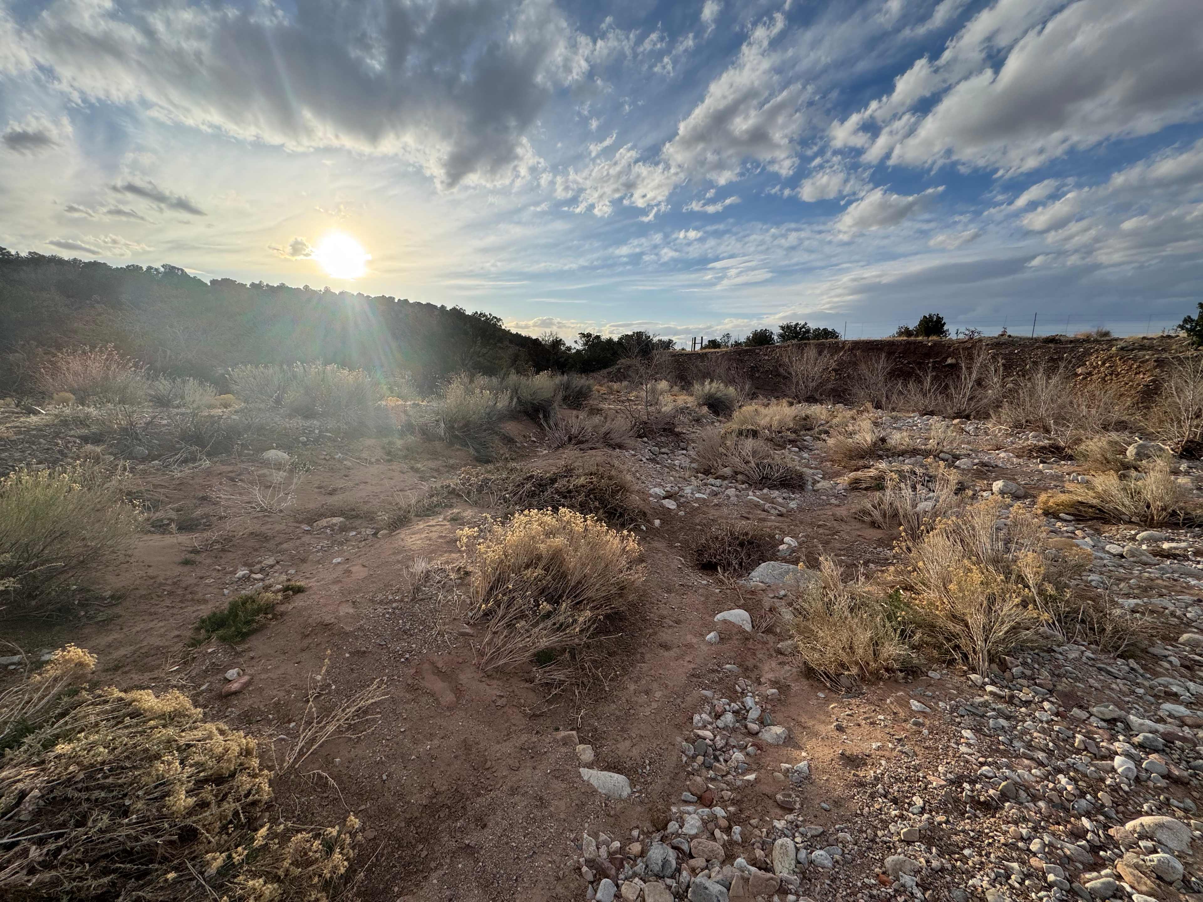 Tierra del RavenTree