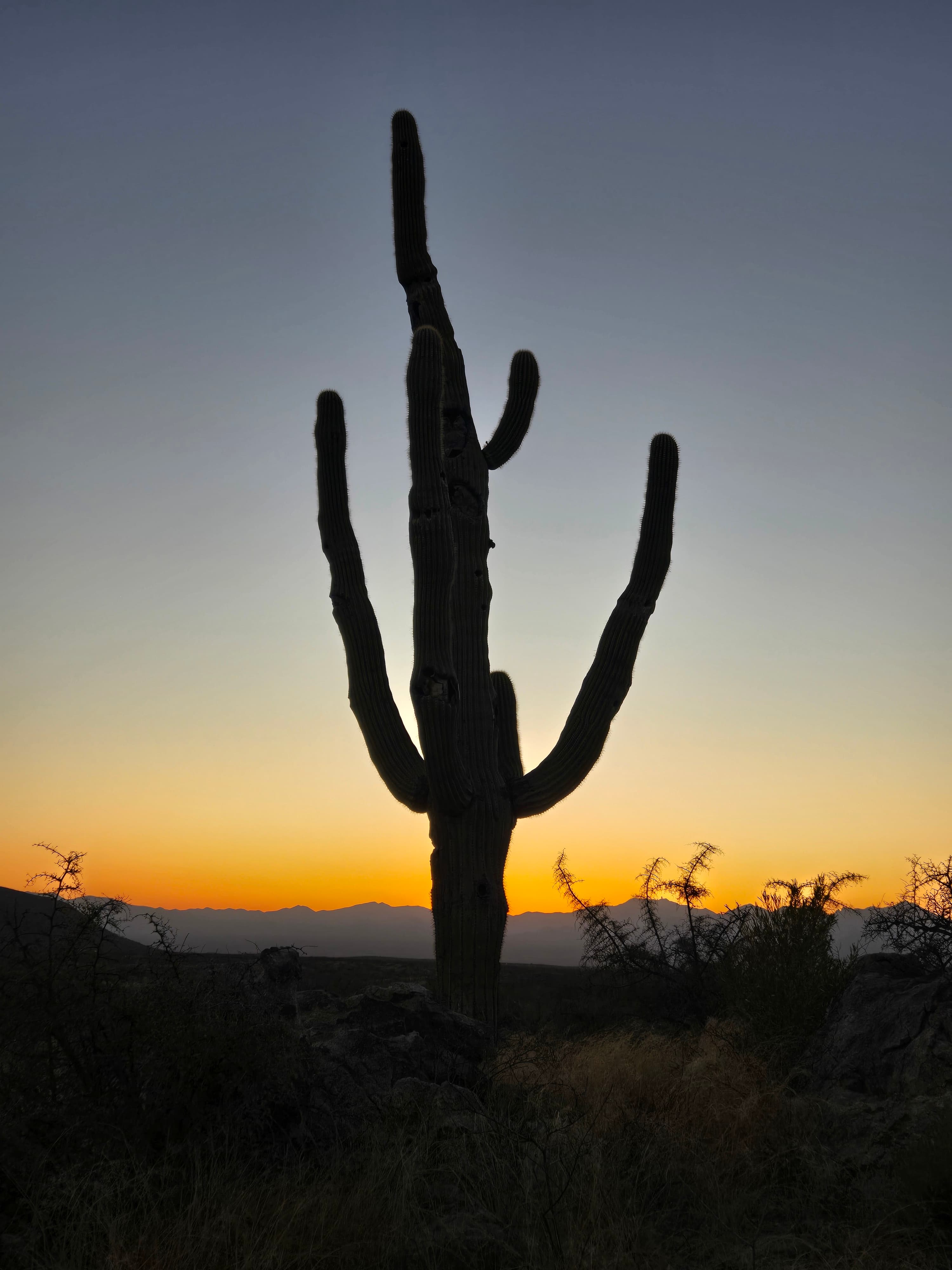 Epic Private 300 Acre Saguaro Park