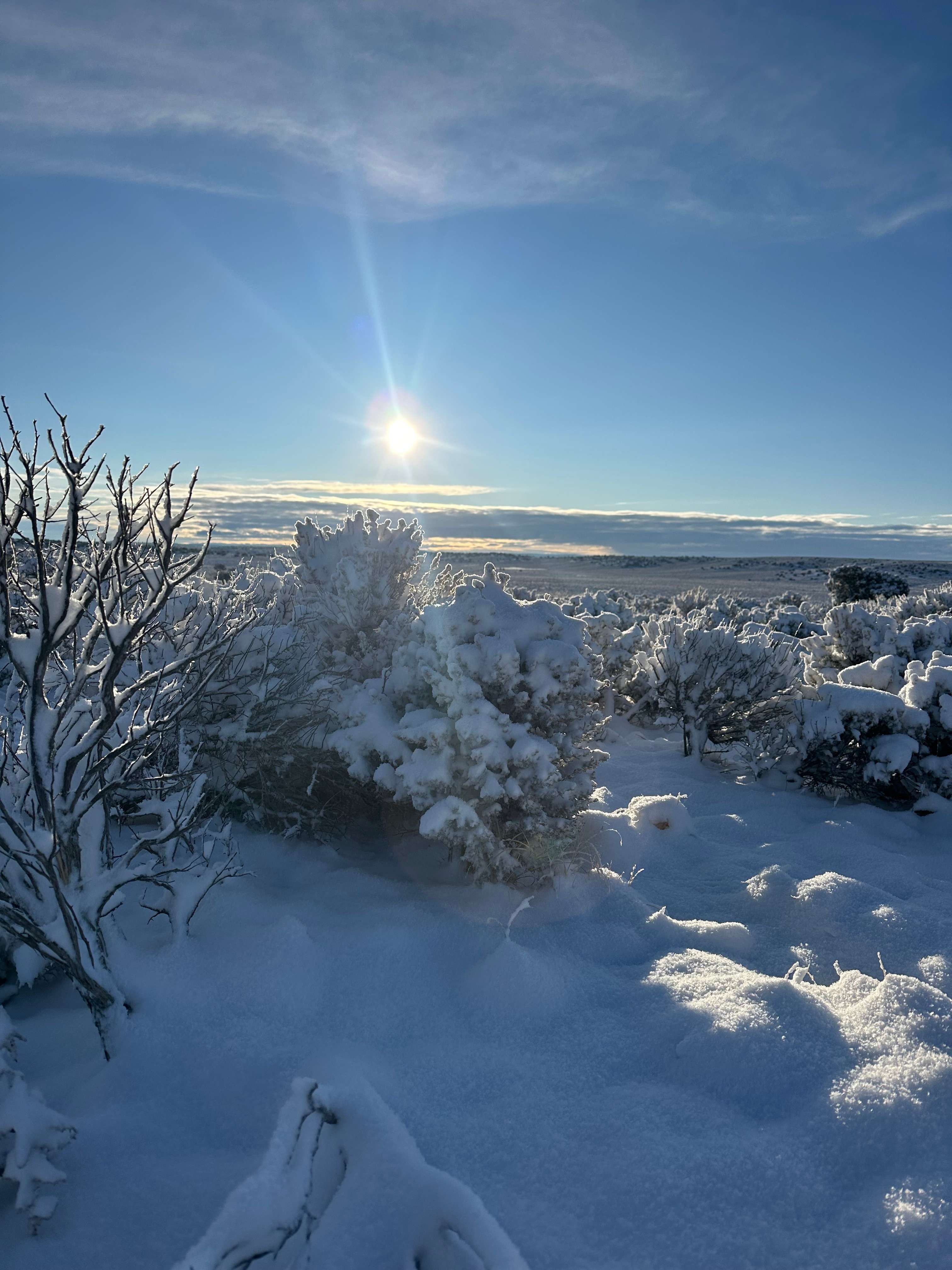 Horse-Thief Campground